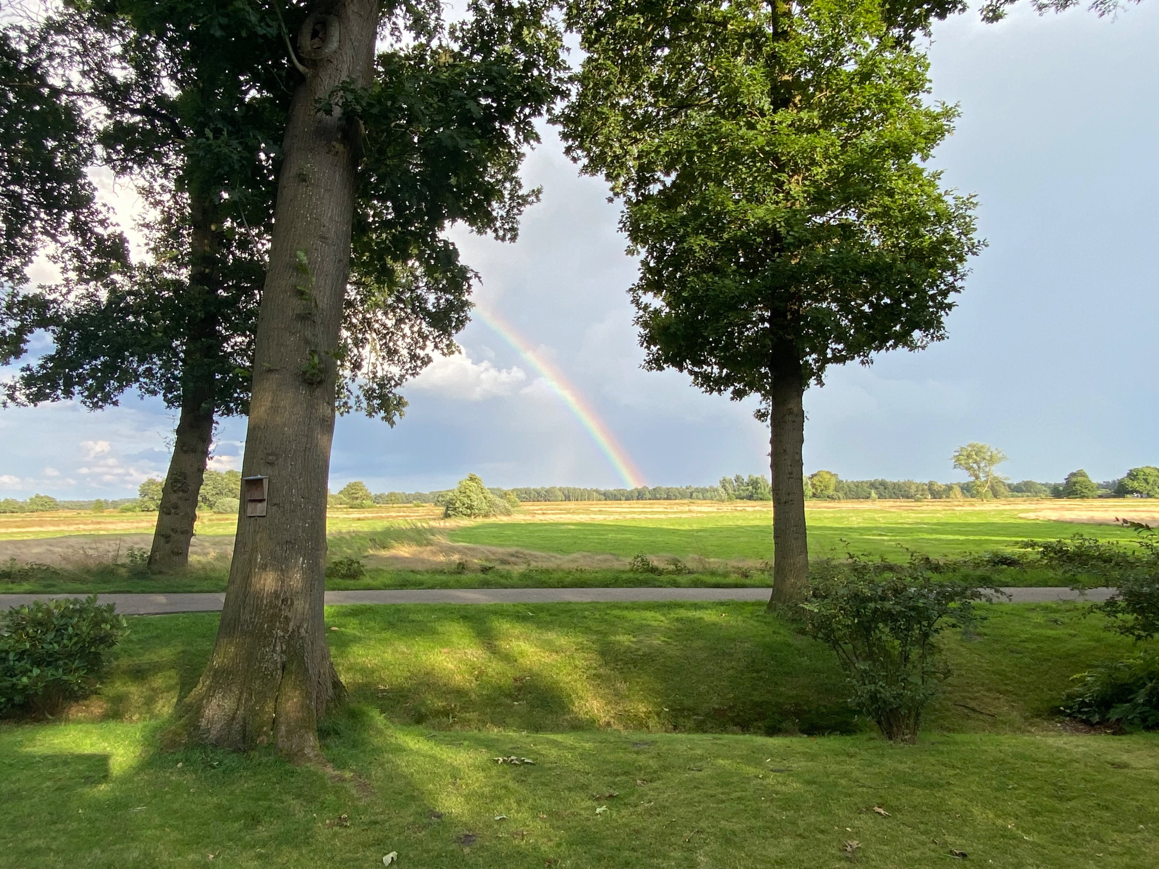 Naturhäuschen in Doldersum