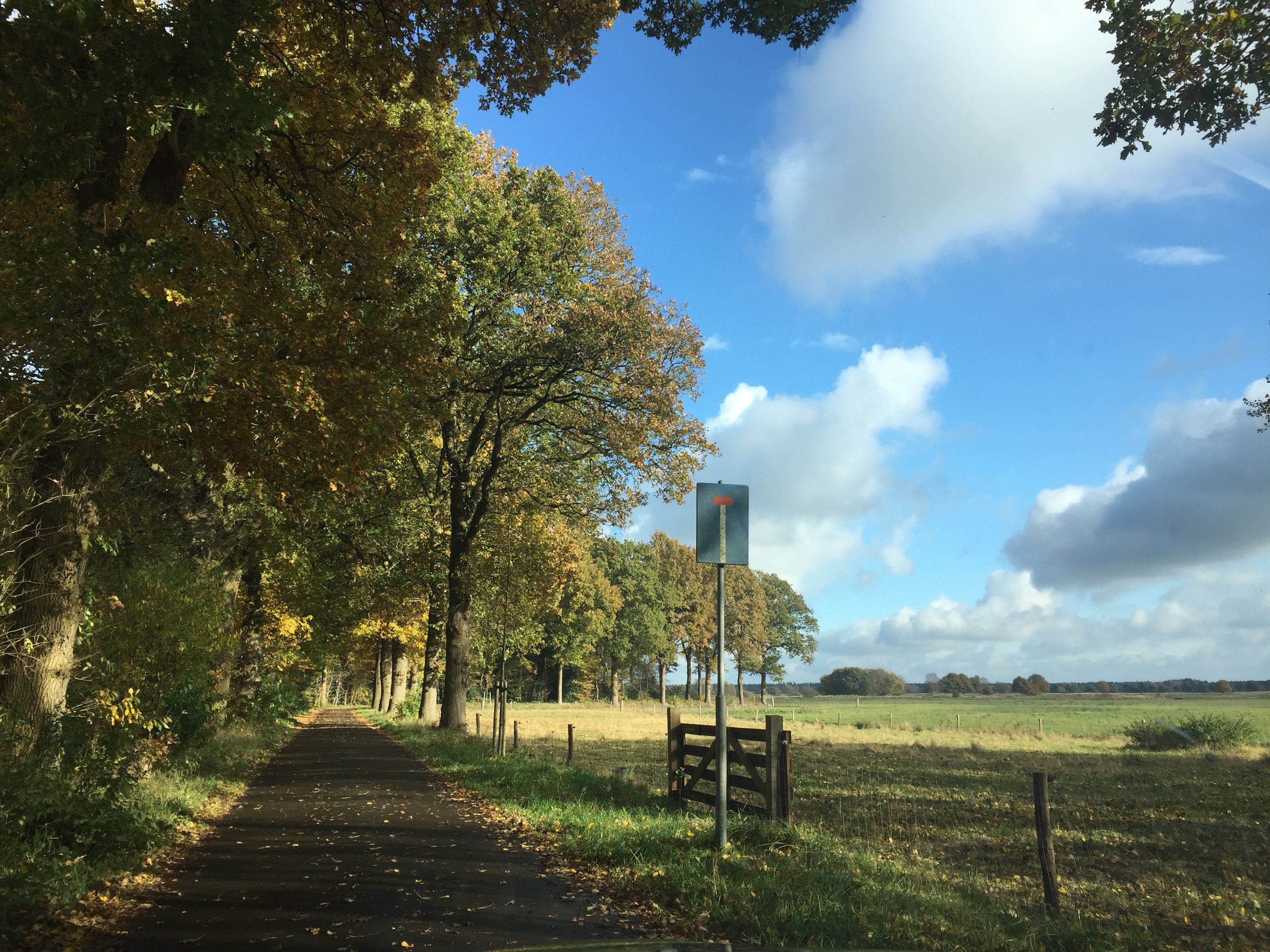 Naturhäuschen in Doldersum