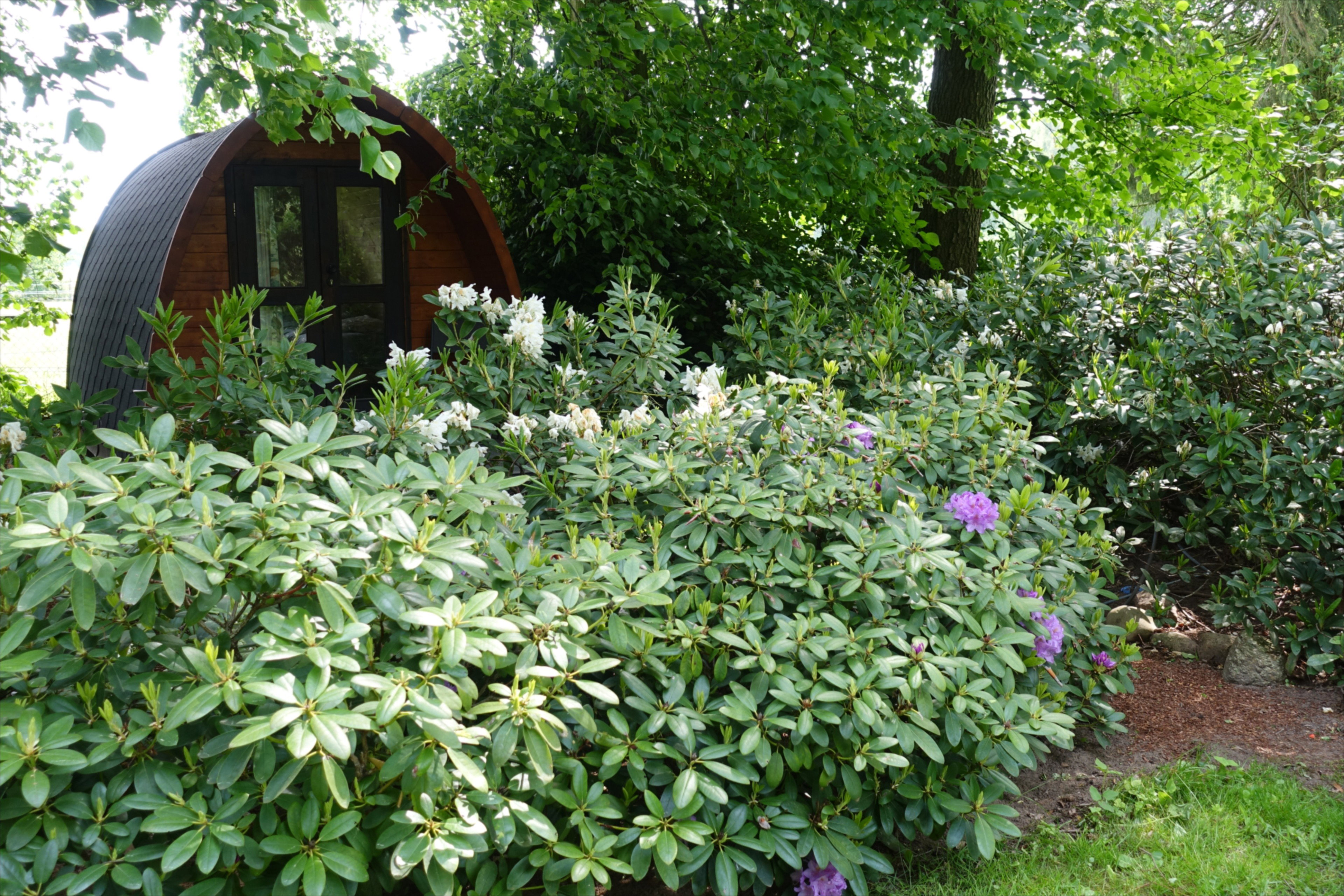 Casa nella natura a Overdinkel