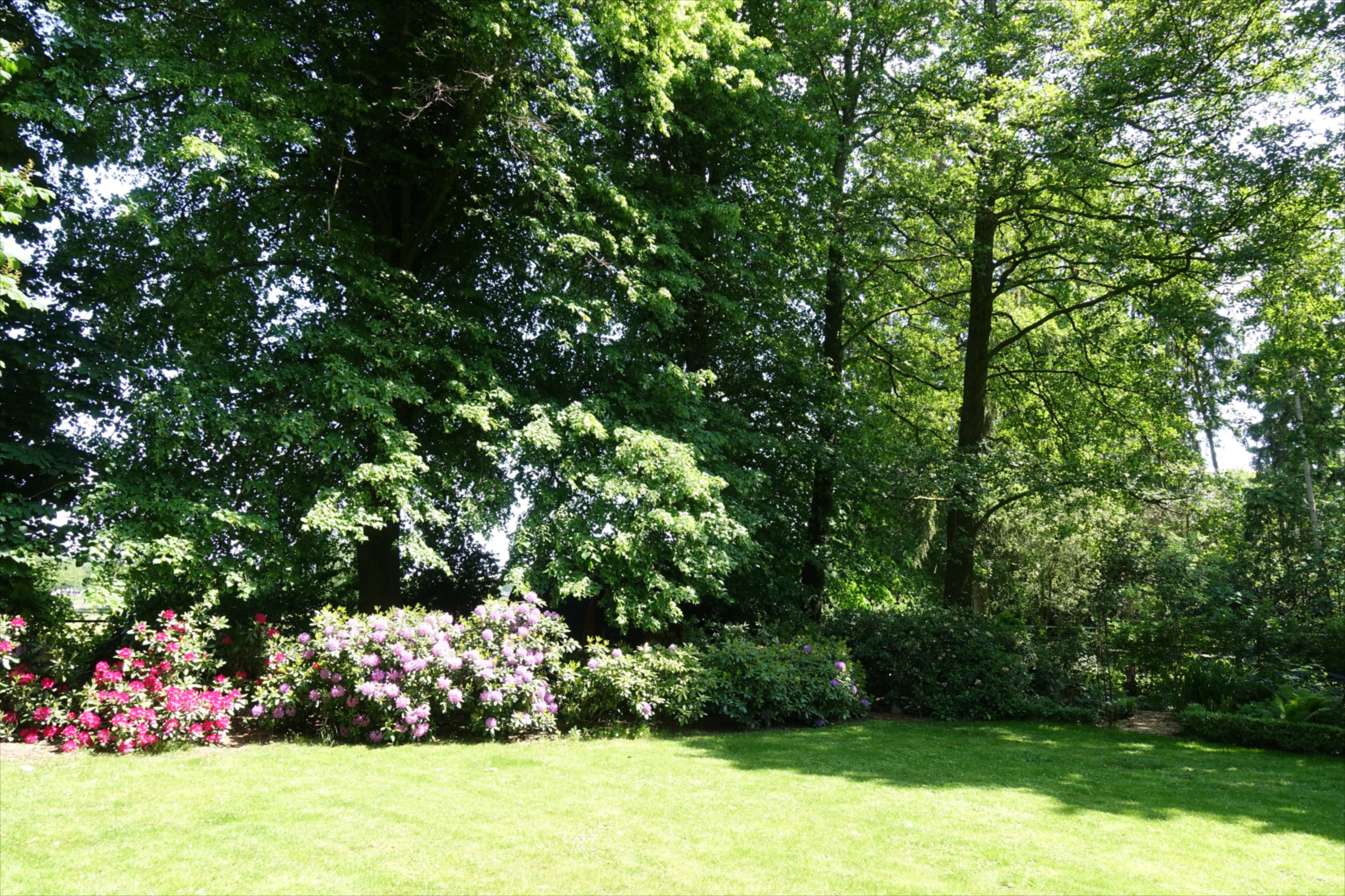 Casa nella natura a Overdinkel