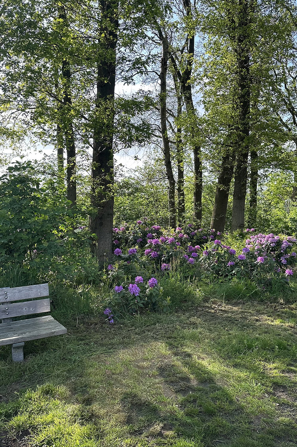 - image: 30