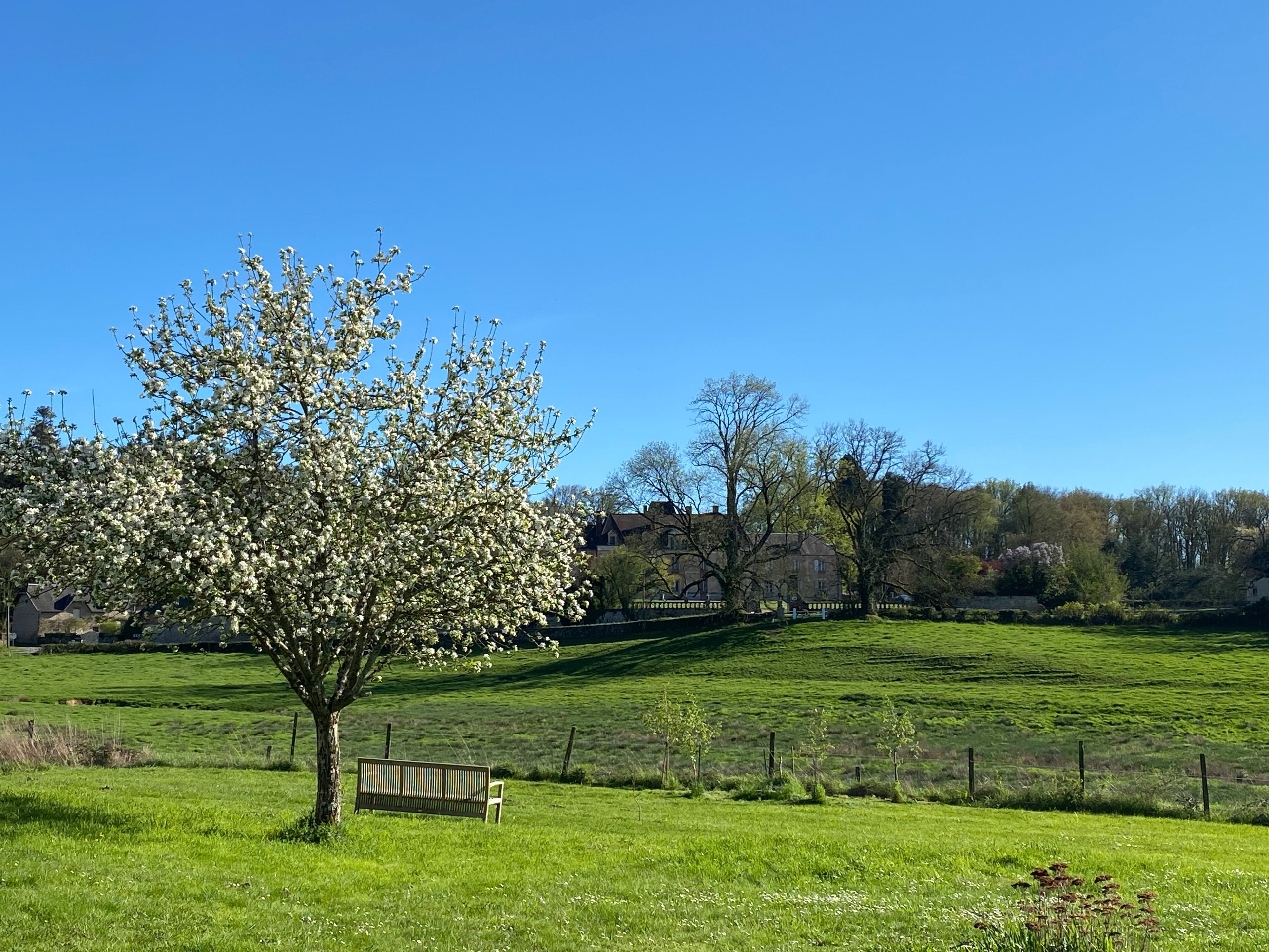 Maison nature à Larochemillay