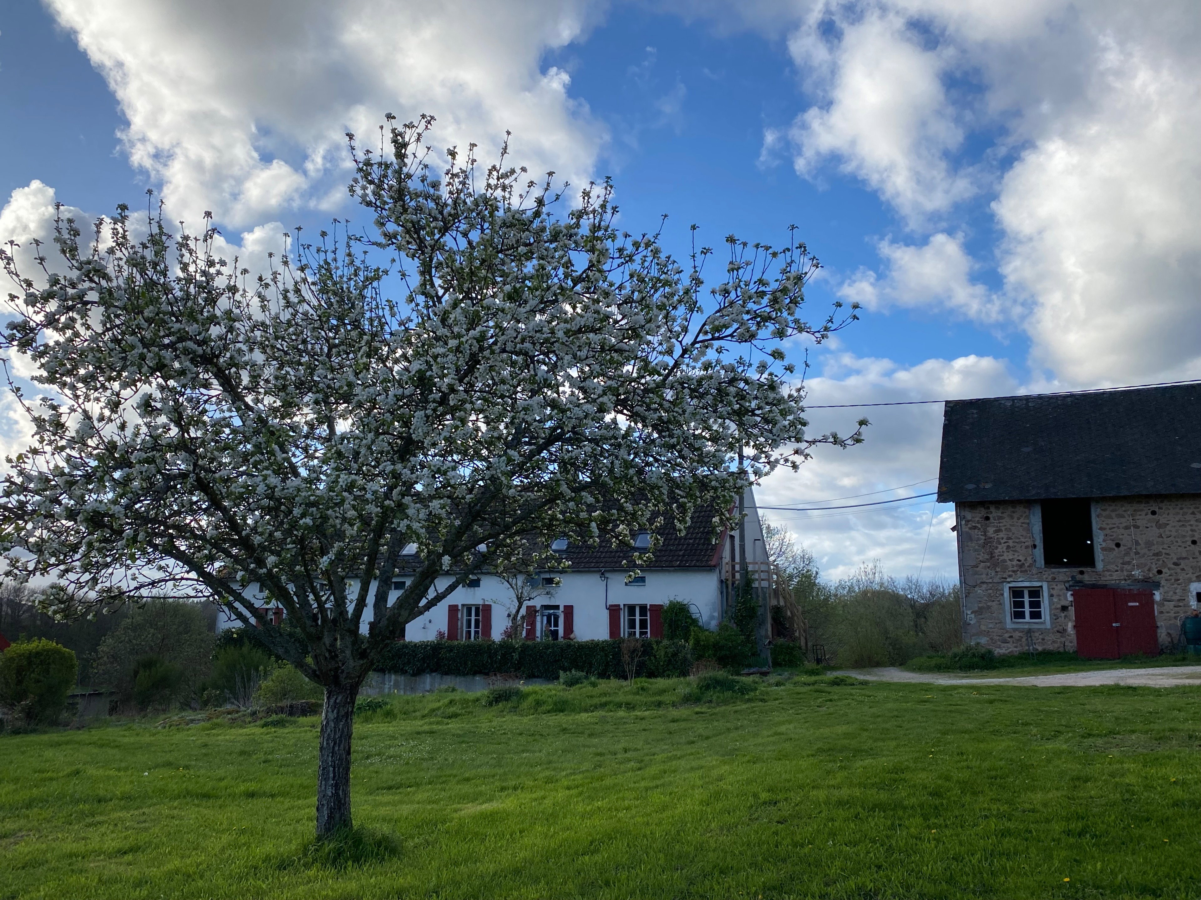 Maison nature à Larochemillay