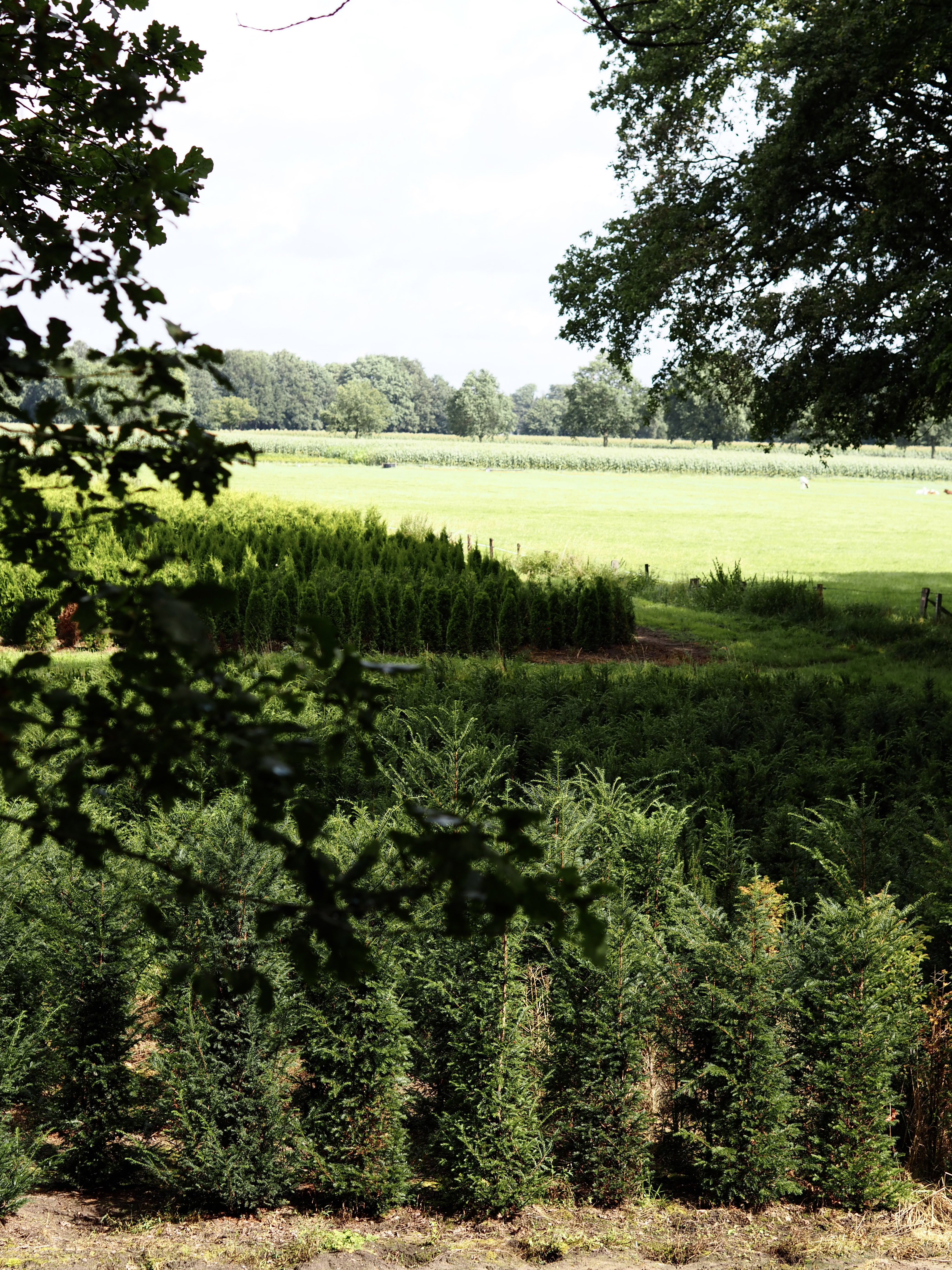 Naturhäuschen in Beuningen
