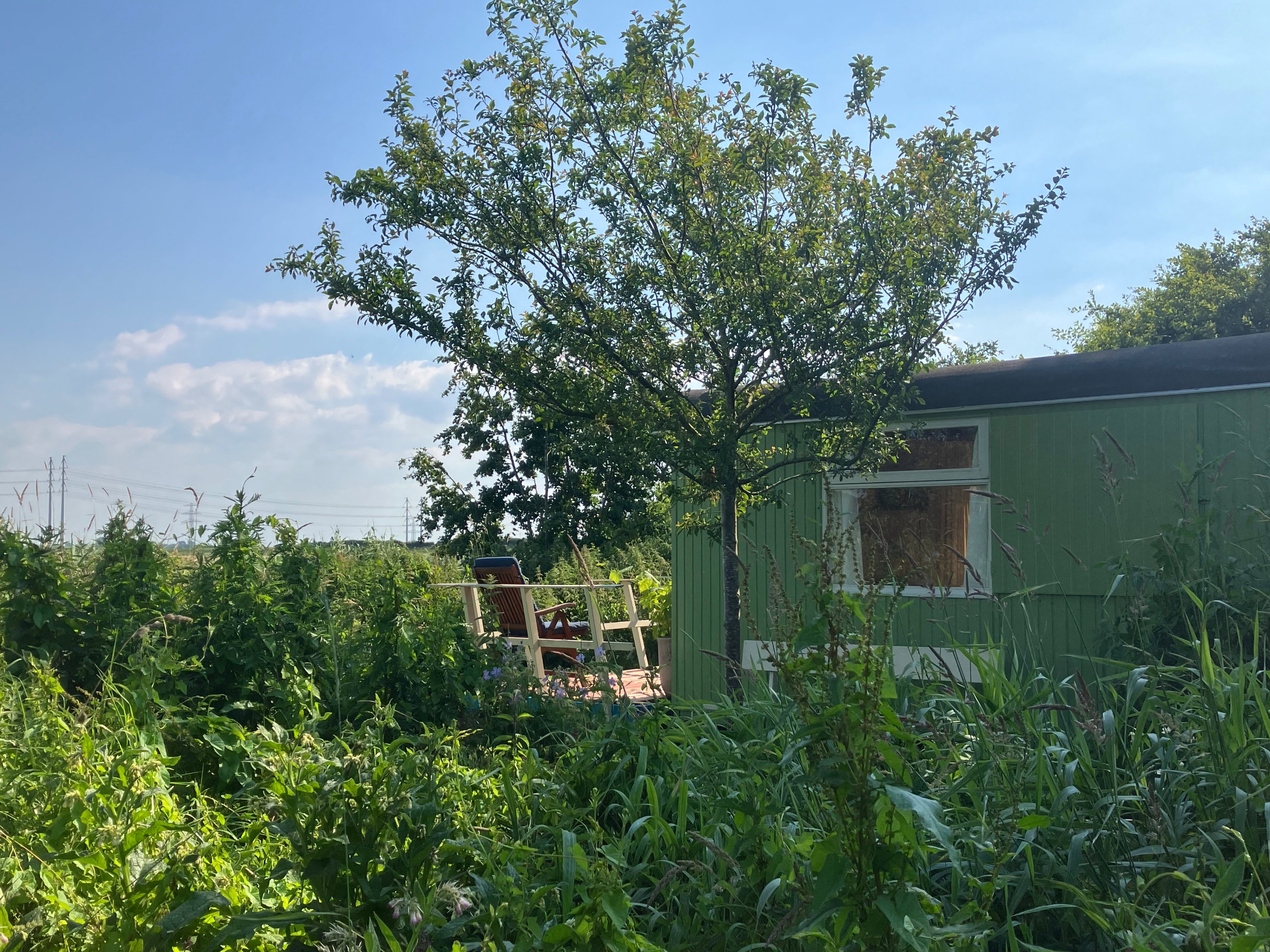 Naturhäuschen in Winsum