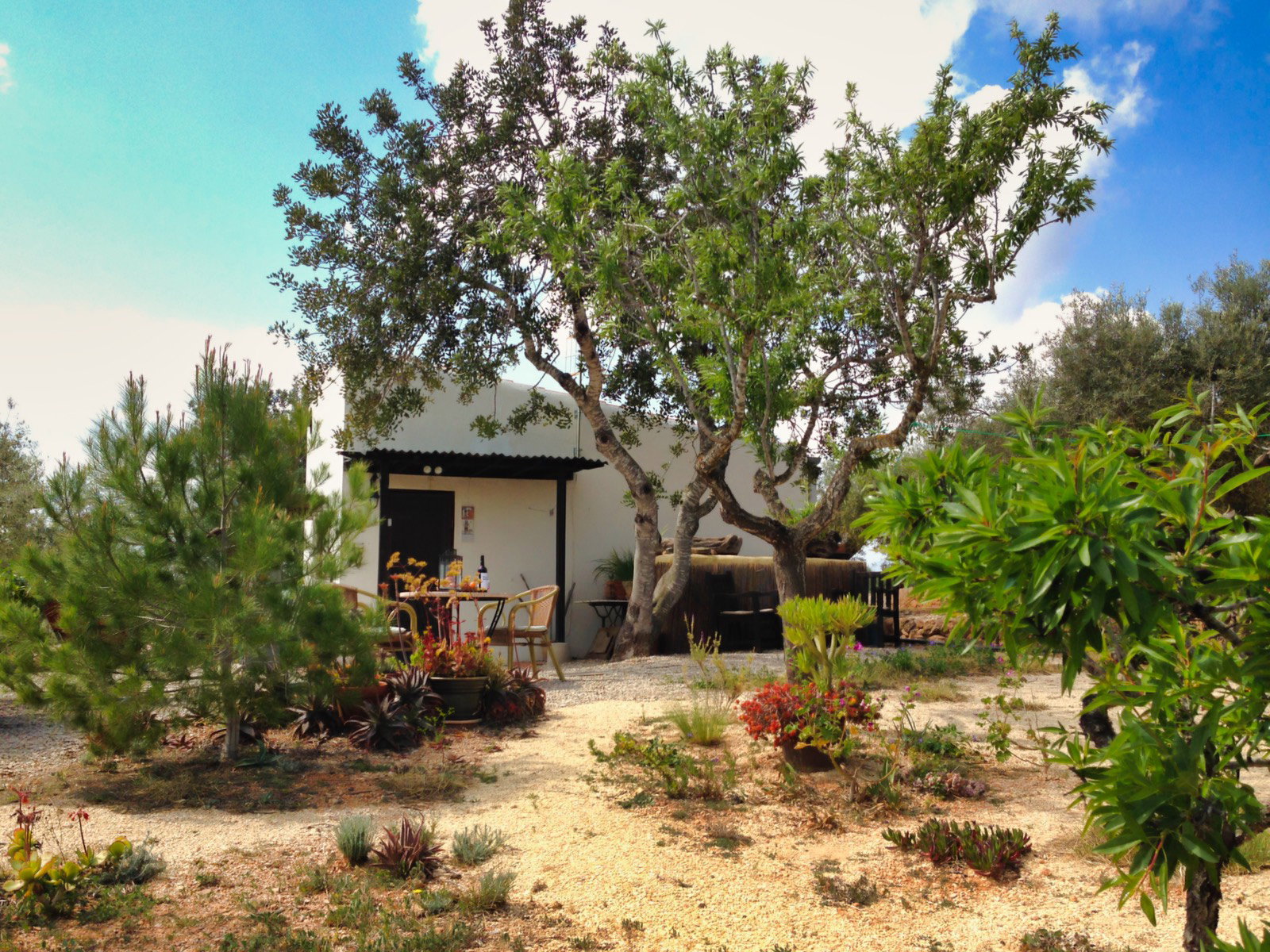 Natuurhuisje in Camp-Redó
