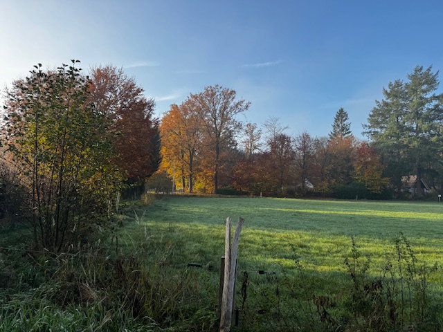 - image: 24