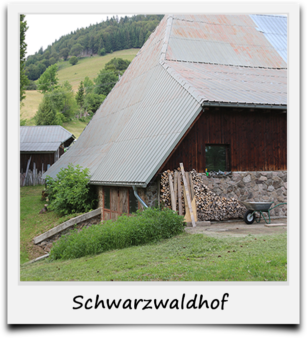 Naturhäuschen in Wieden