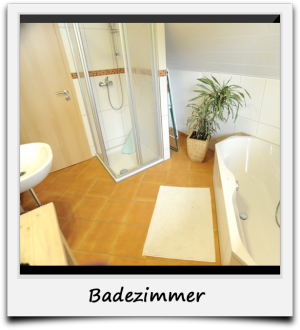 - image: 11