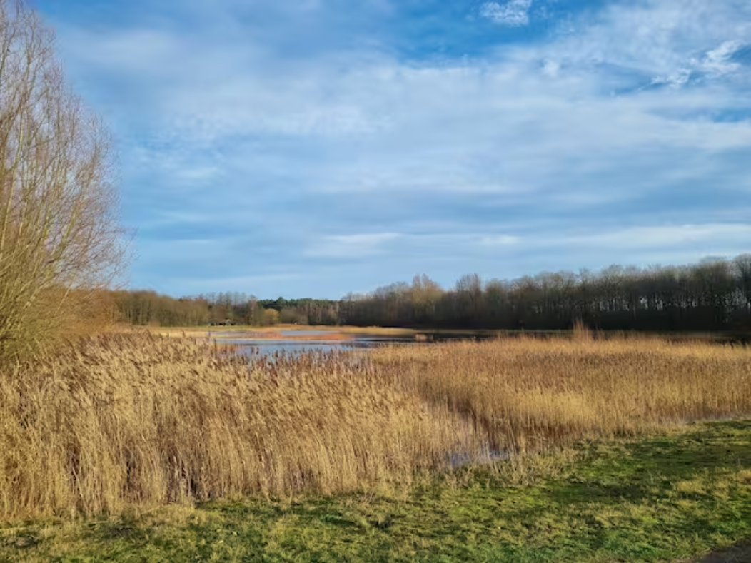 Naturhäuschen in Stekene