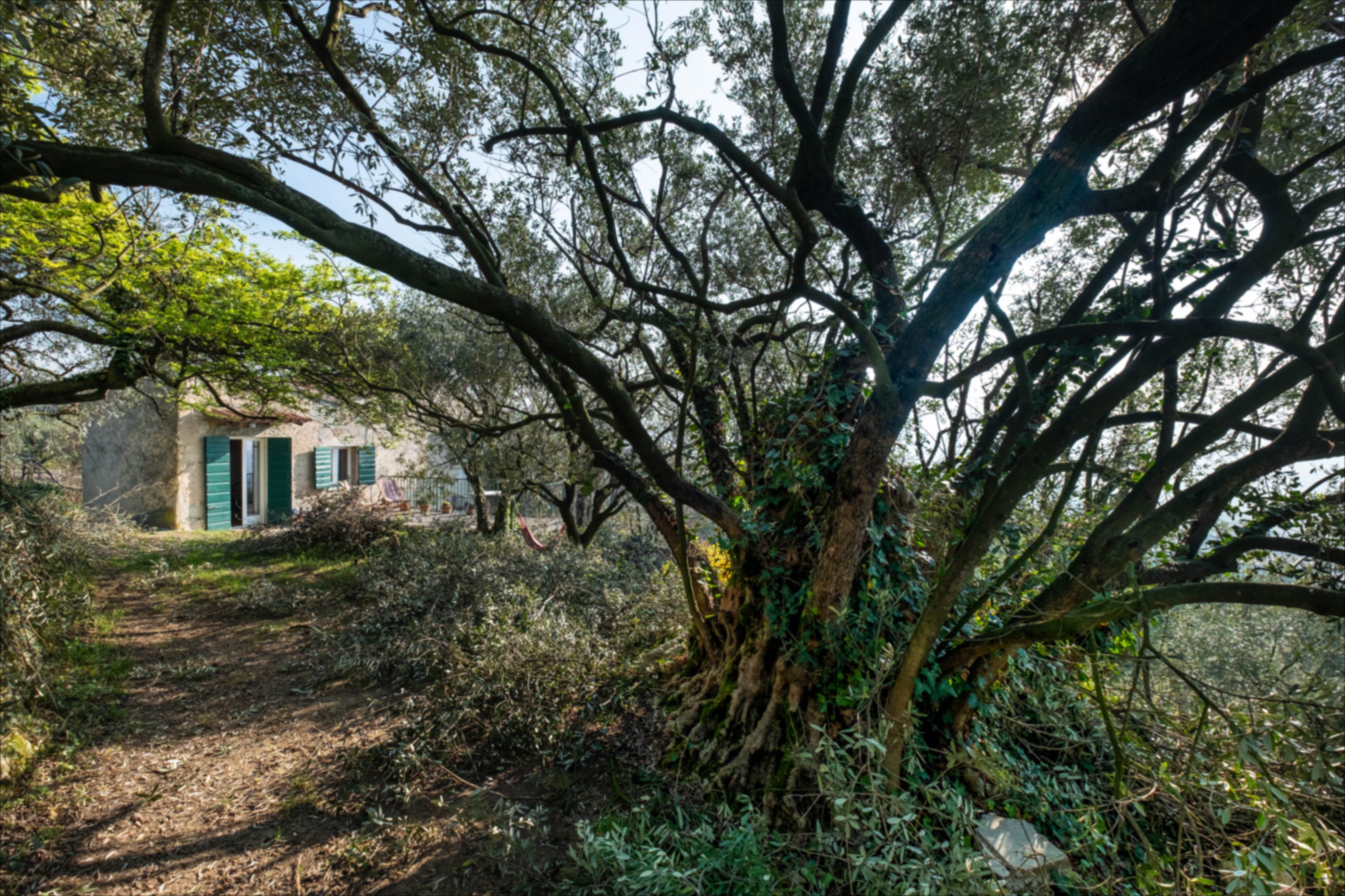 Casa nella natura a negrar di valpolicella