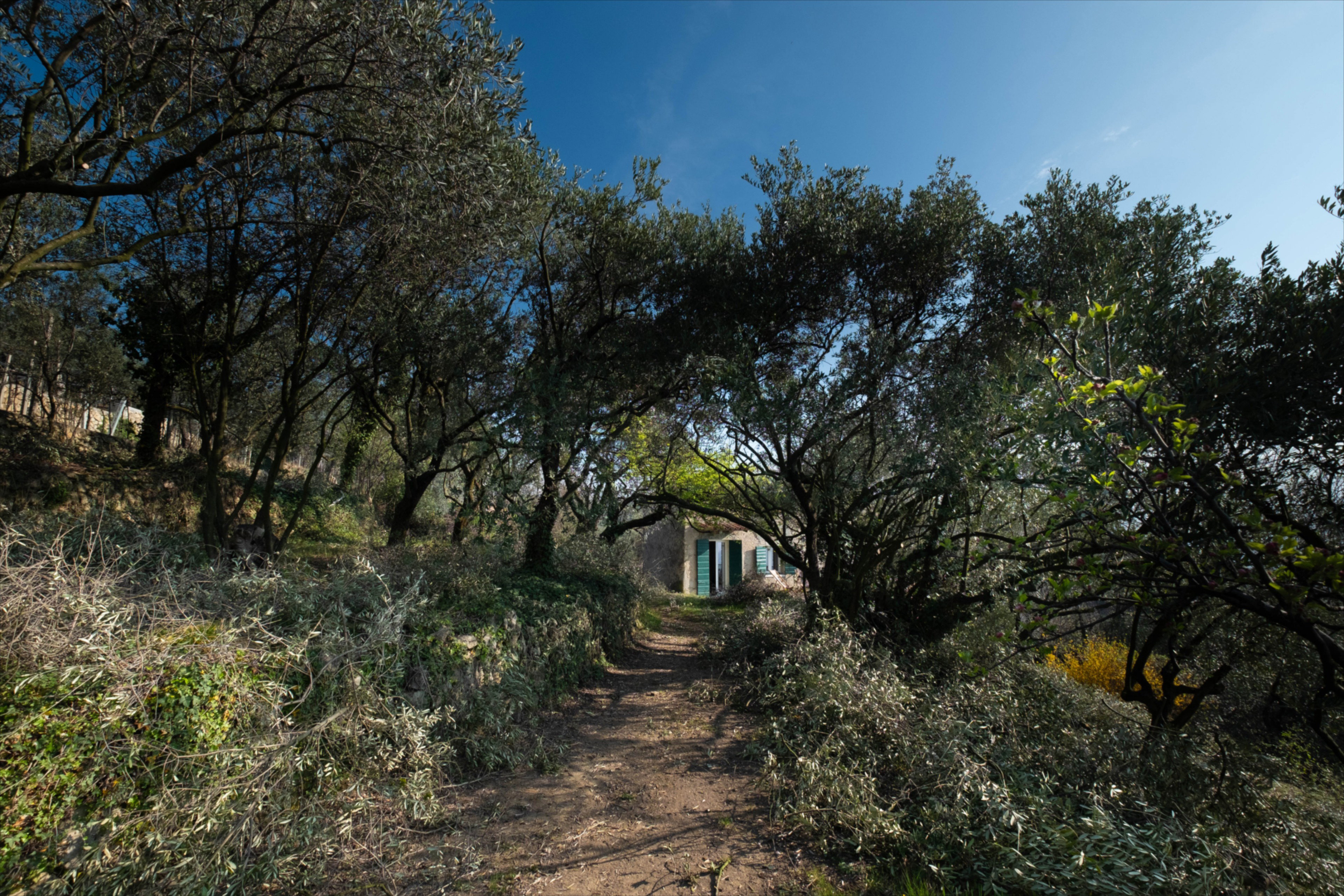 Casa nella natura a negrar di valpolicella