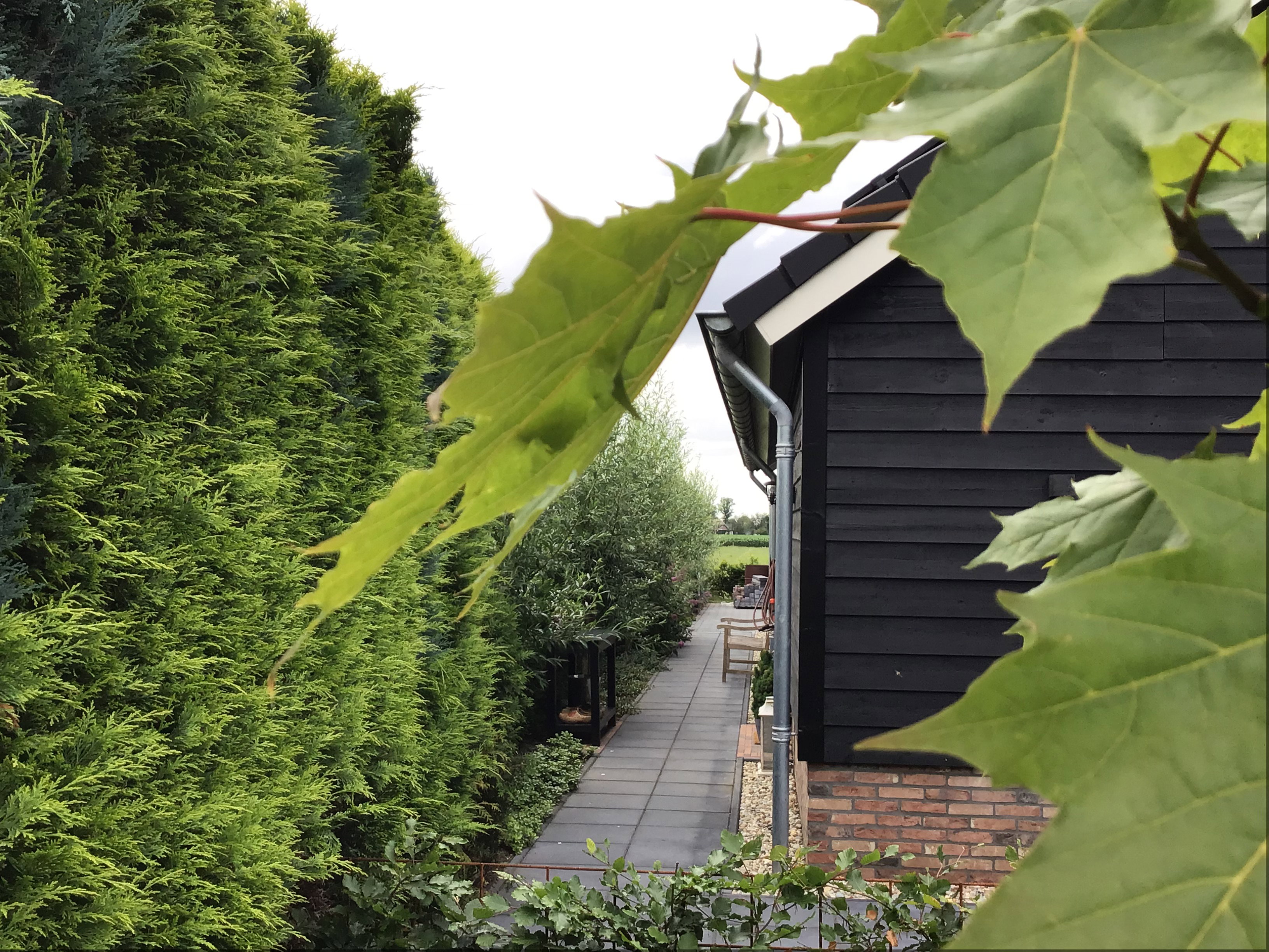 Maison nature à Hulshorst