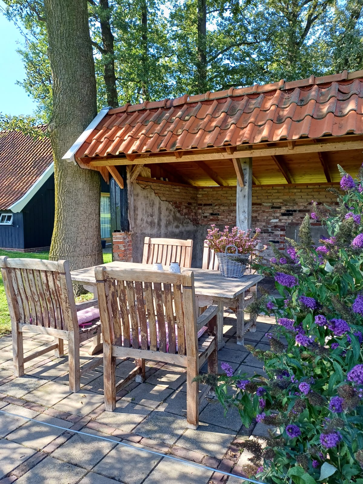 Casa nella natura a Winterswijk Woold