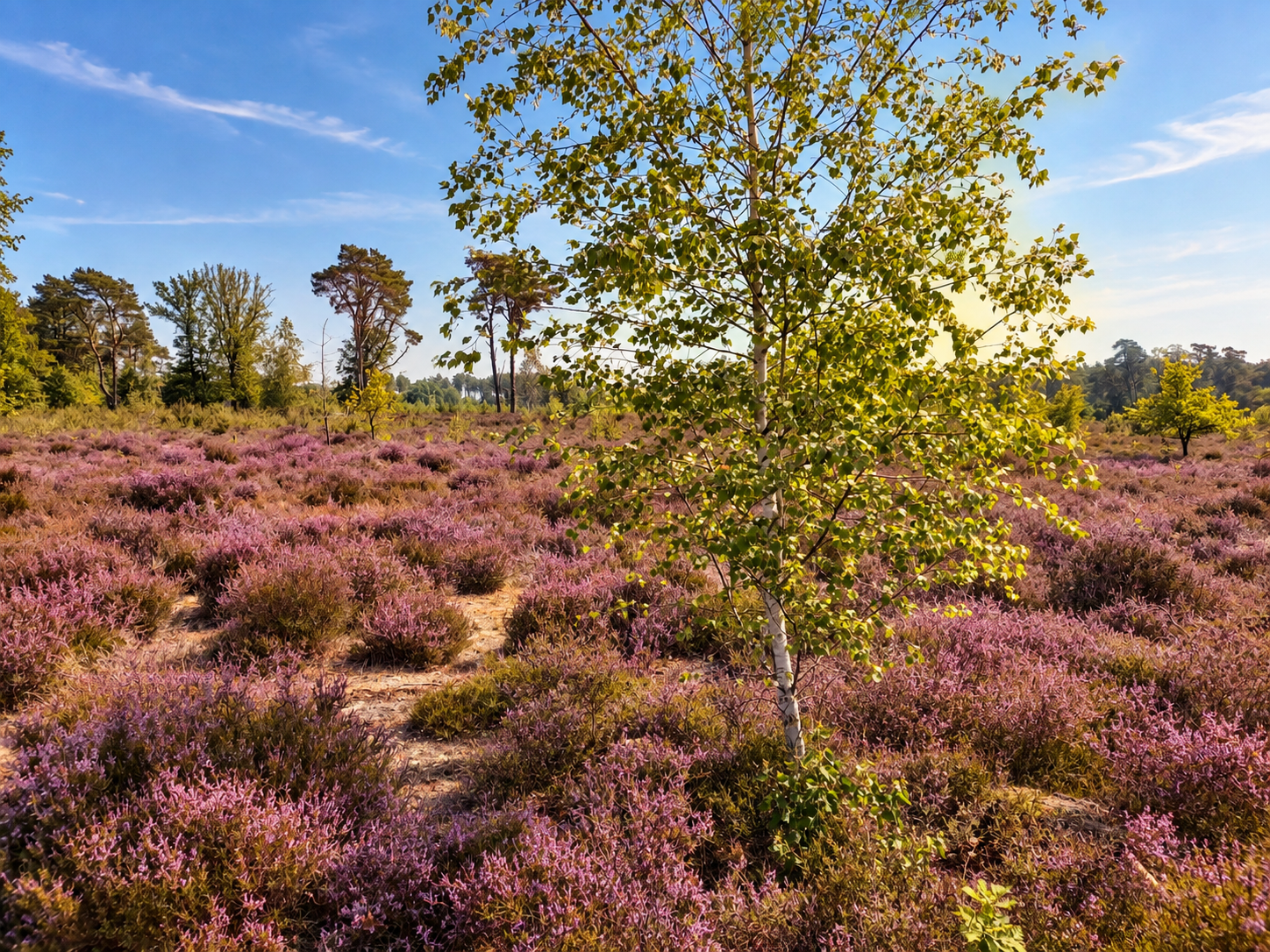 Natuurhuisje in Oud-Turnhout