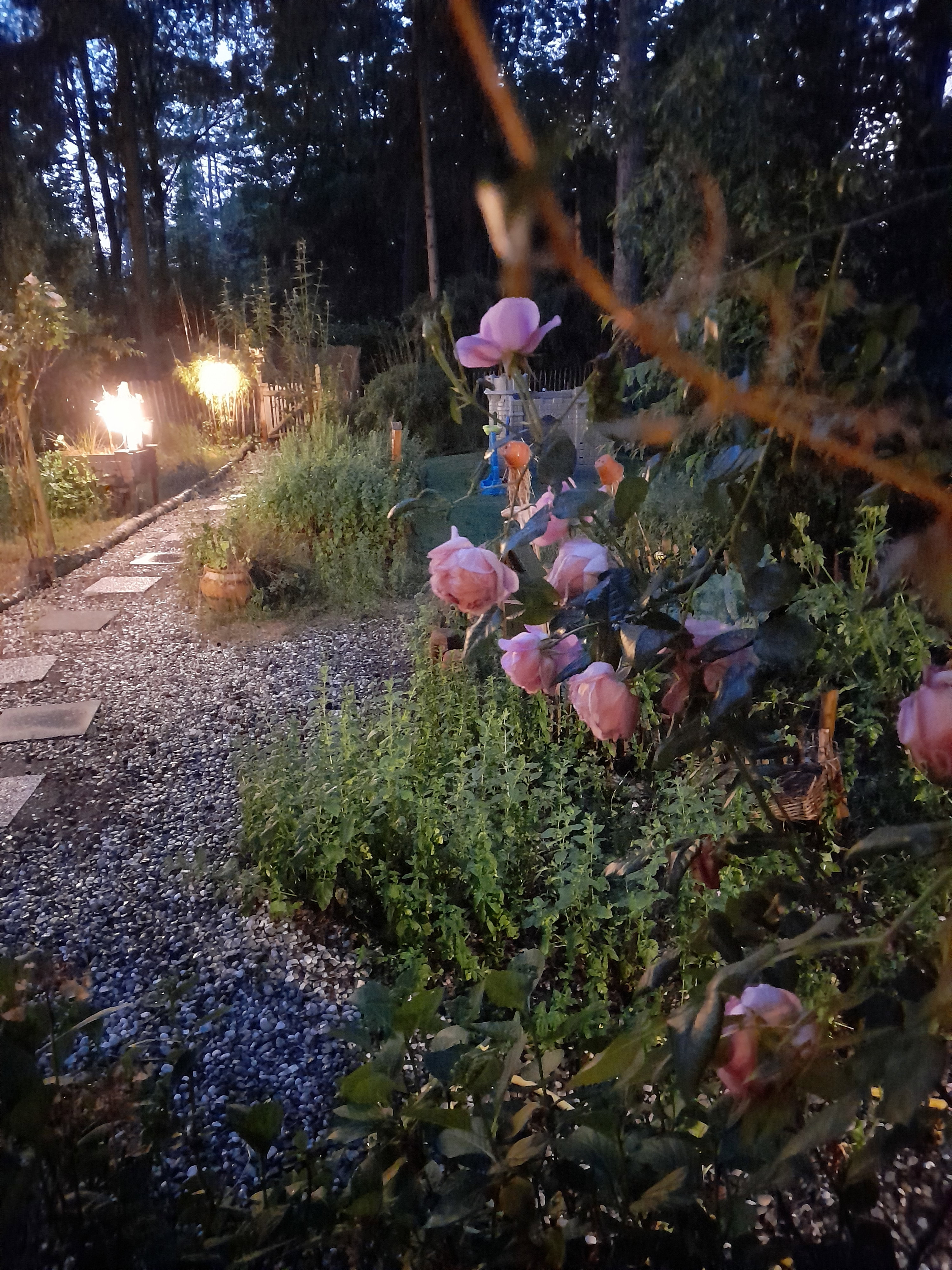 Casa nella natura a Oud-Turnhout