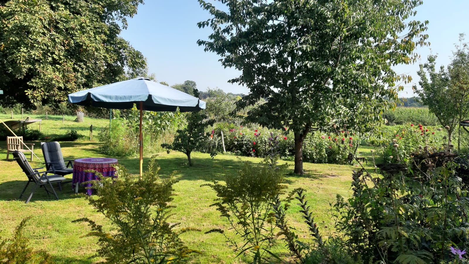 Natuurhuisje in Brummen