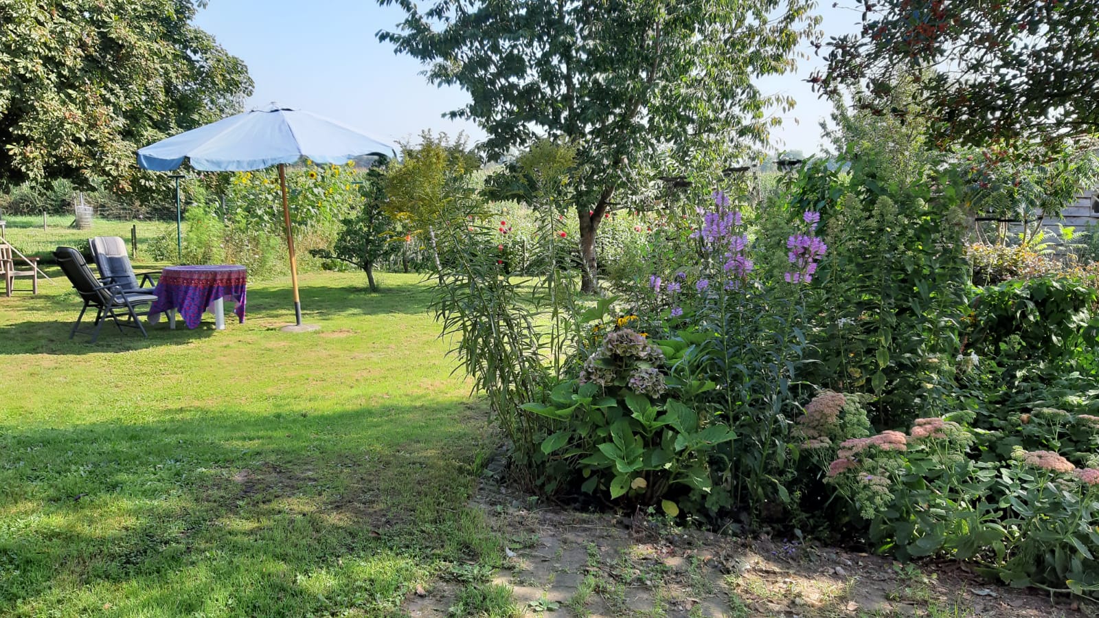 Natuurhuisje in Brummen