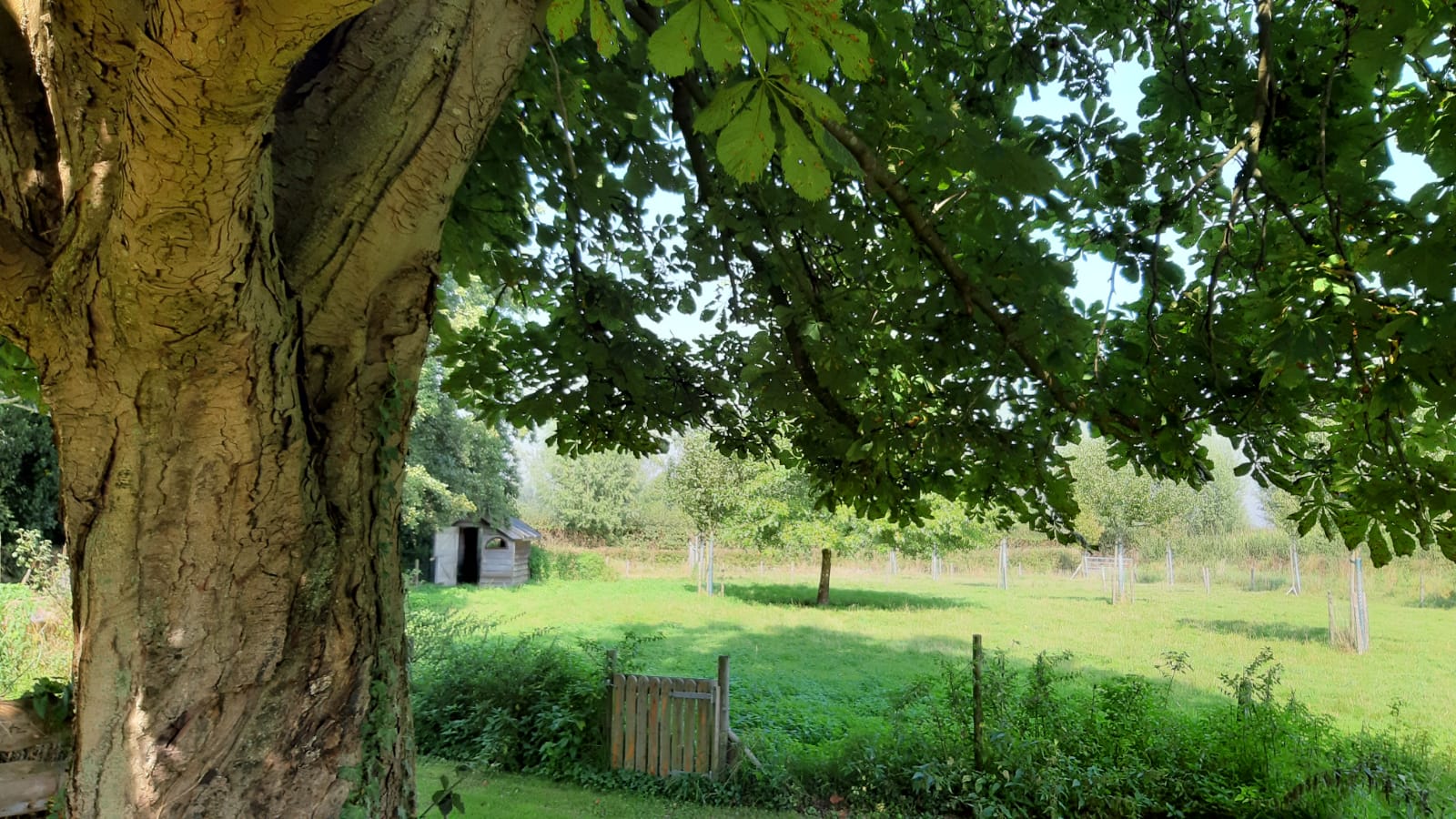 Natuurhuisje in Brummen