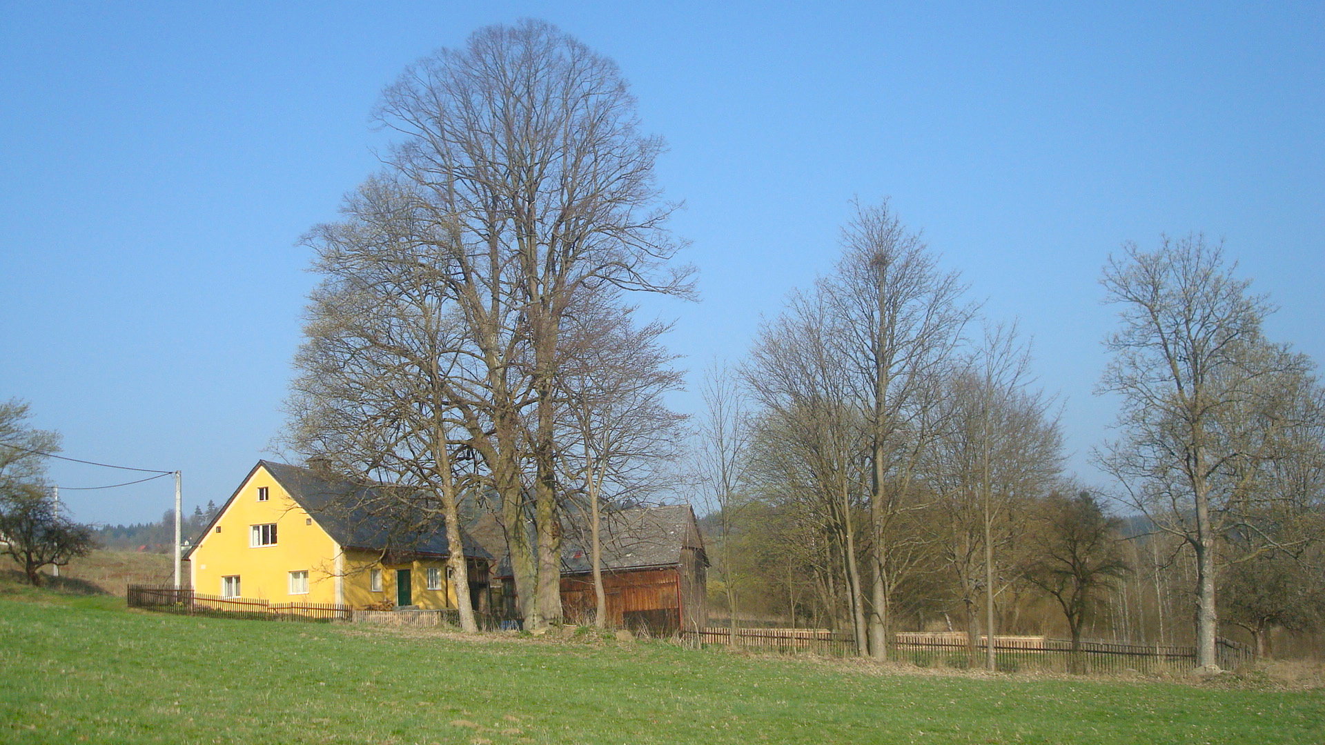 - image: 1