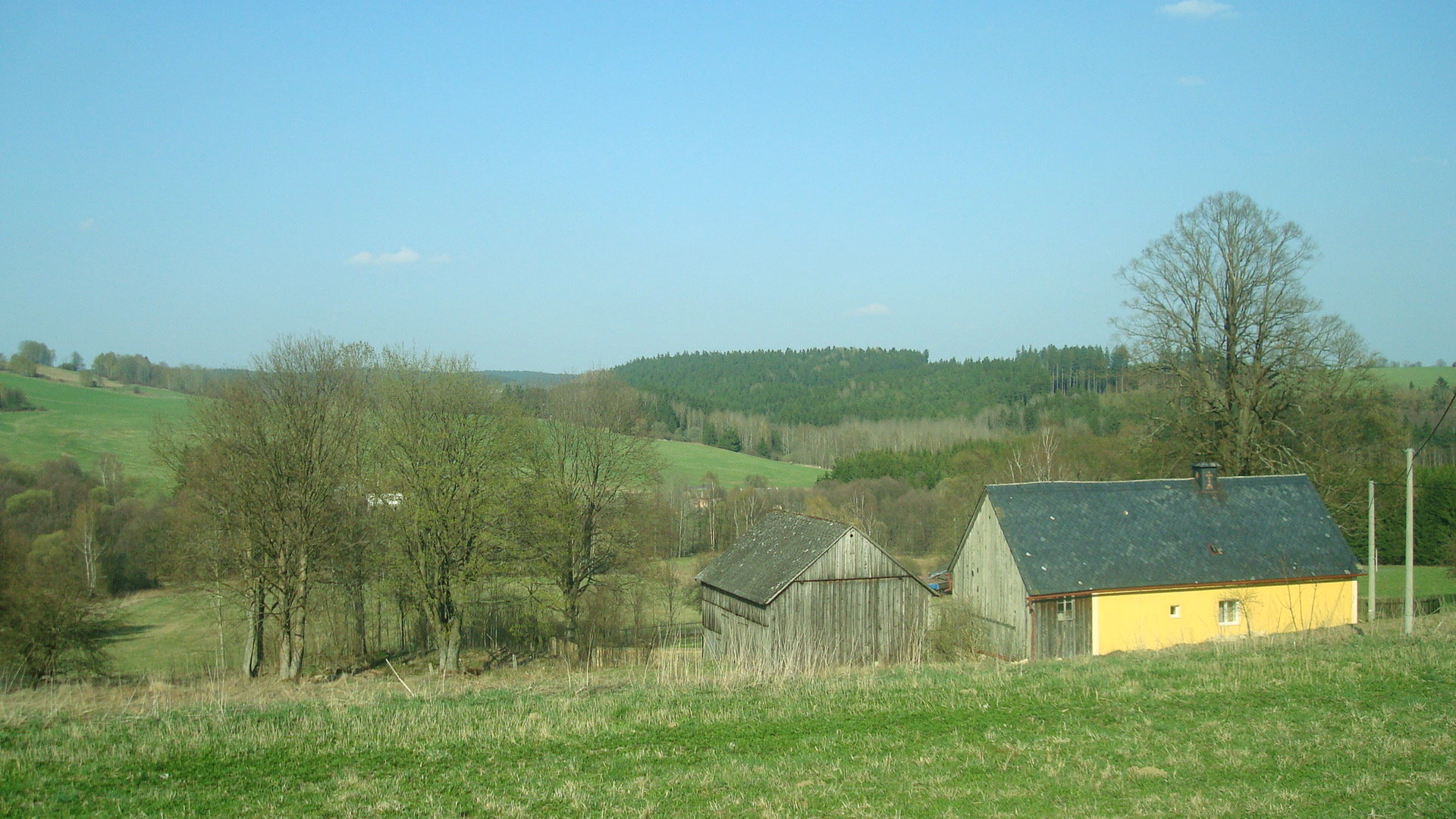 - image: 2
