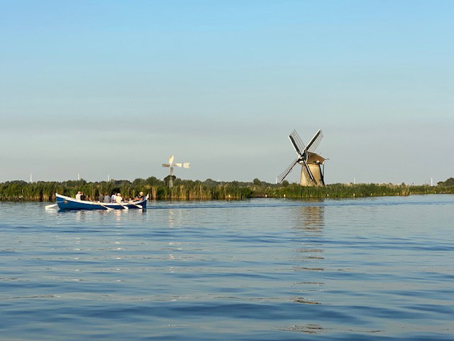 - image: 41