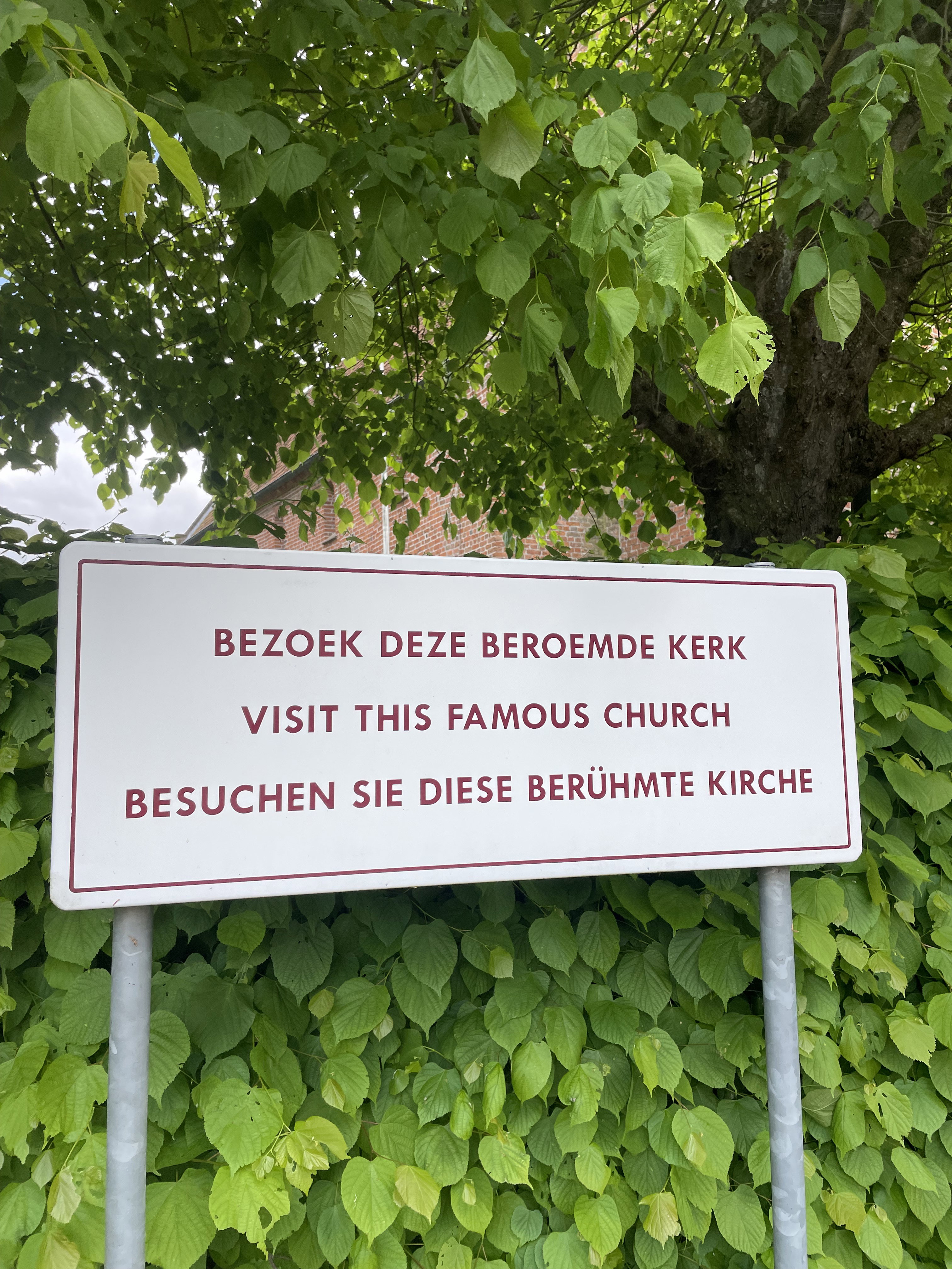 - image: 48