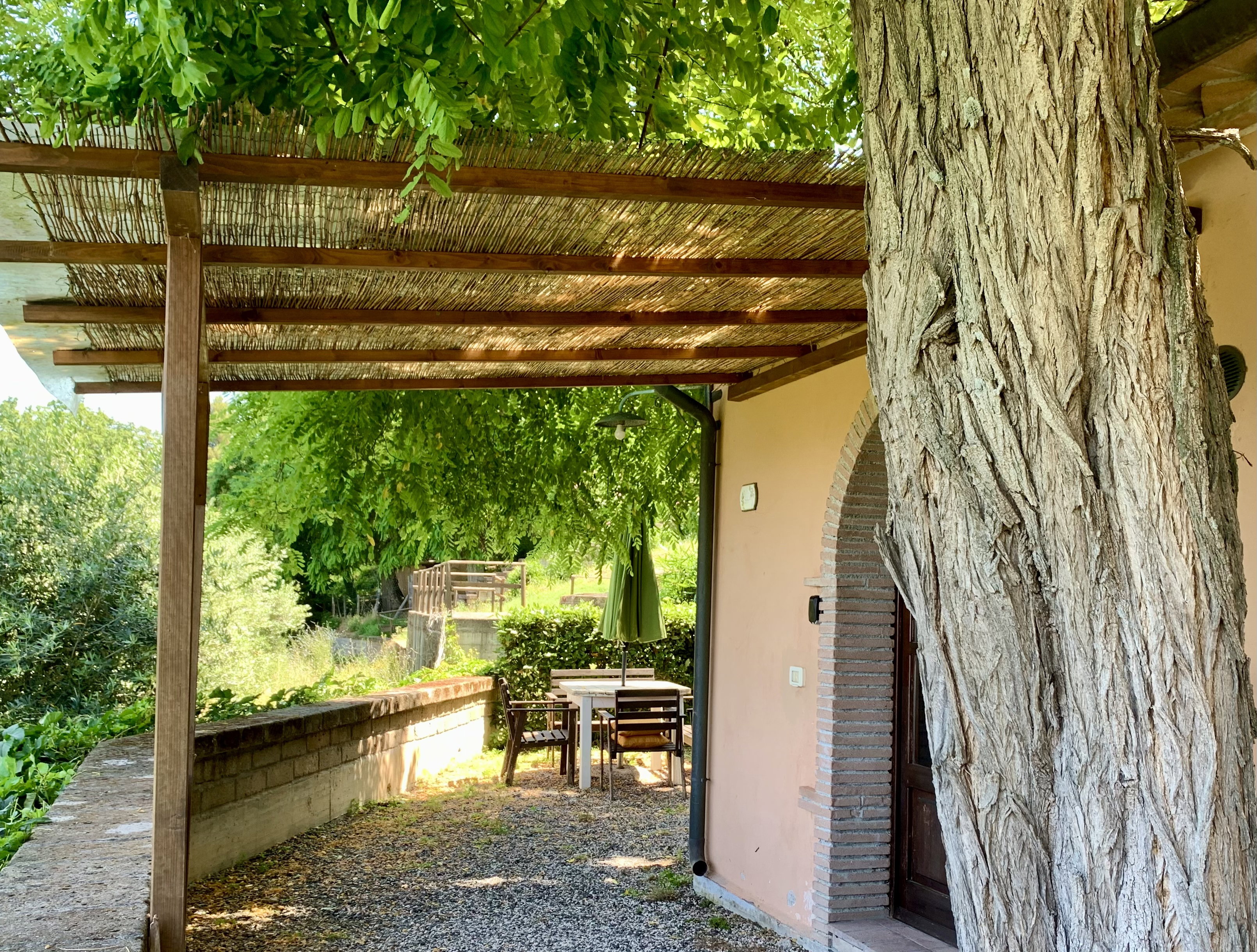Nature house in Montescudaio