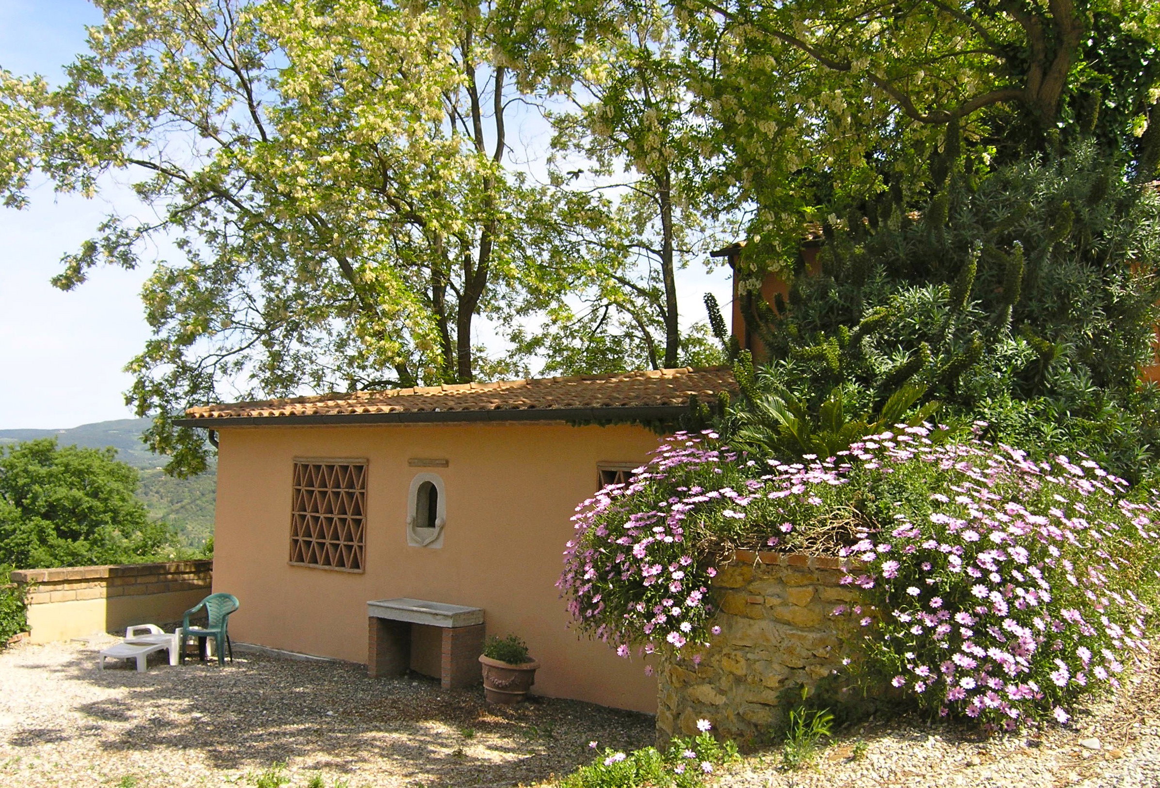 - image: 16
