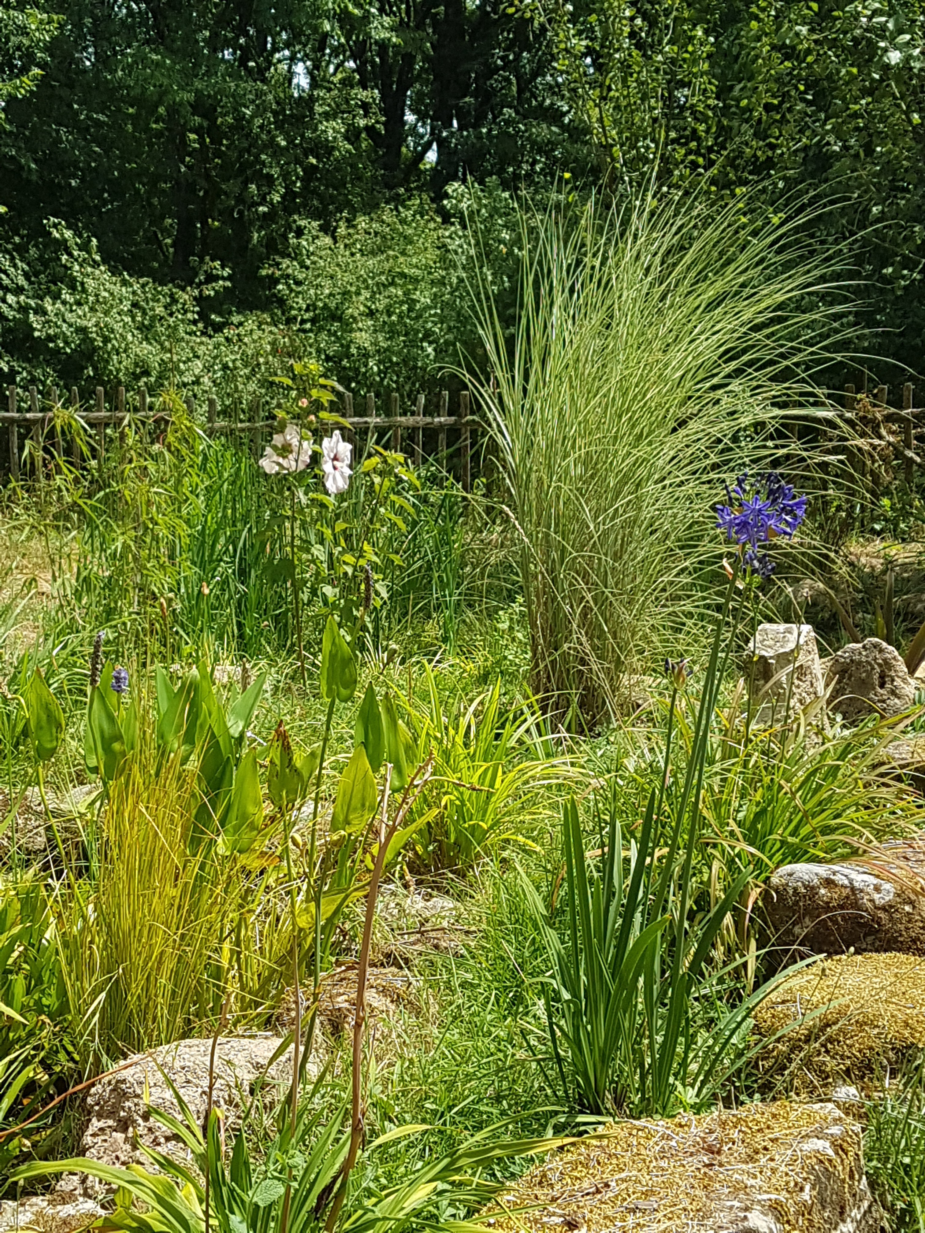 Maison nature à Penne