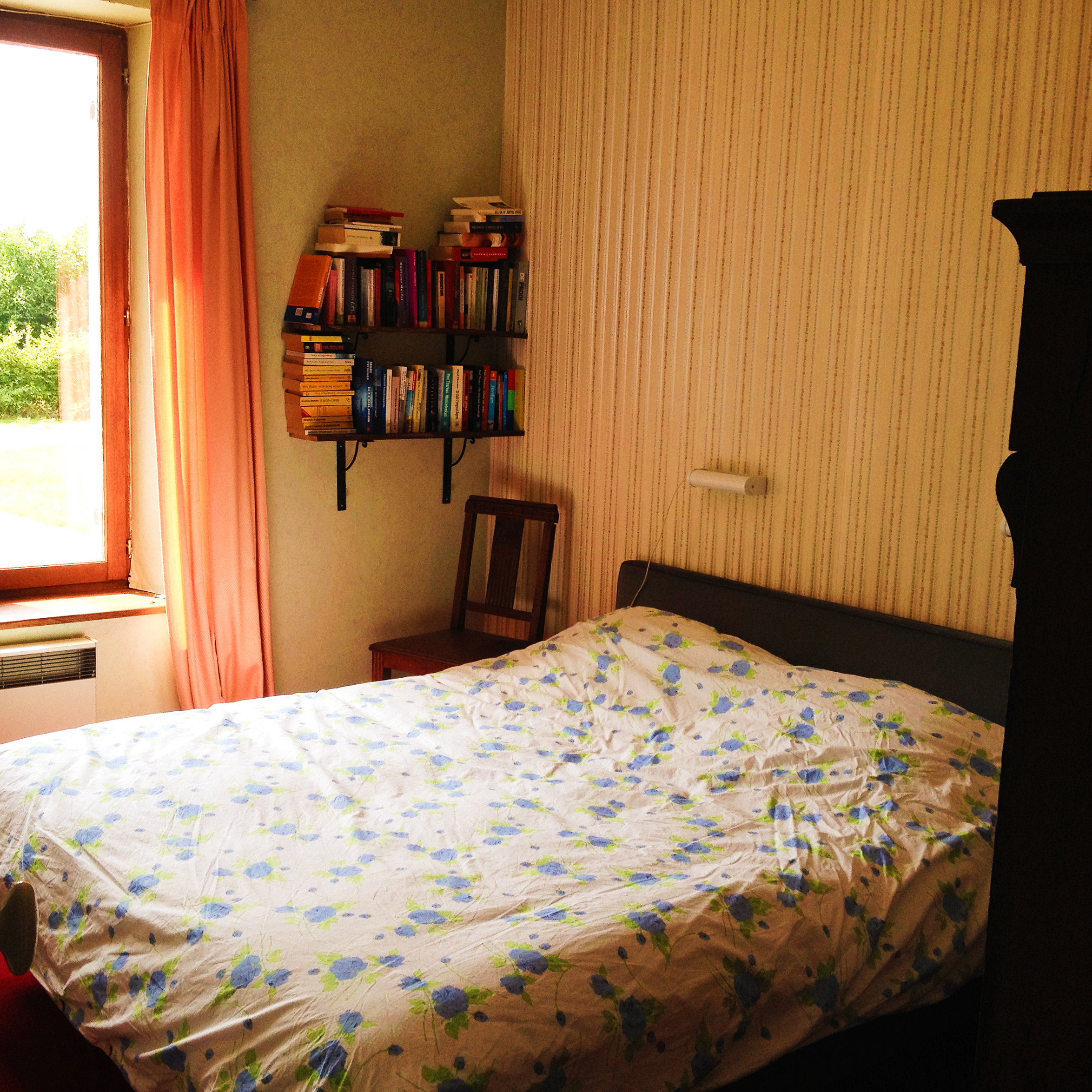 - image: 12