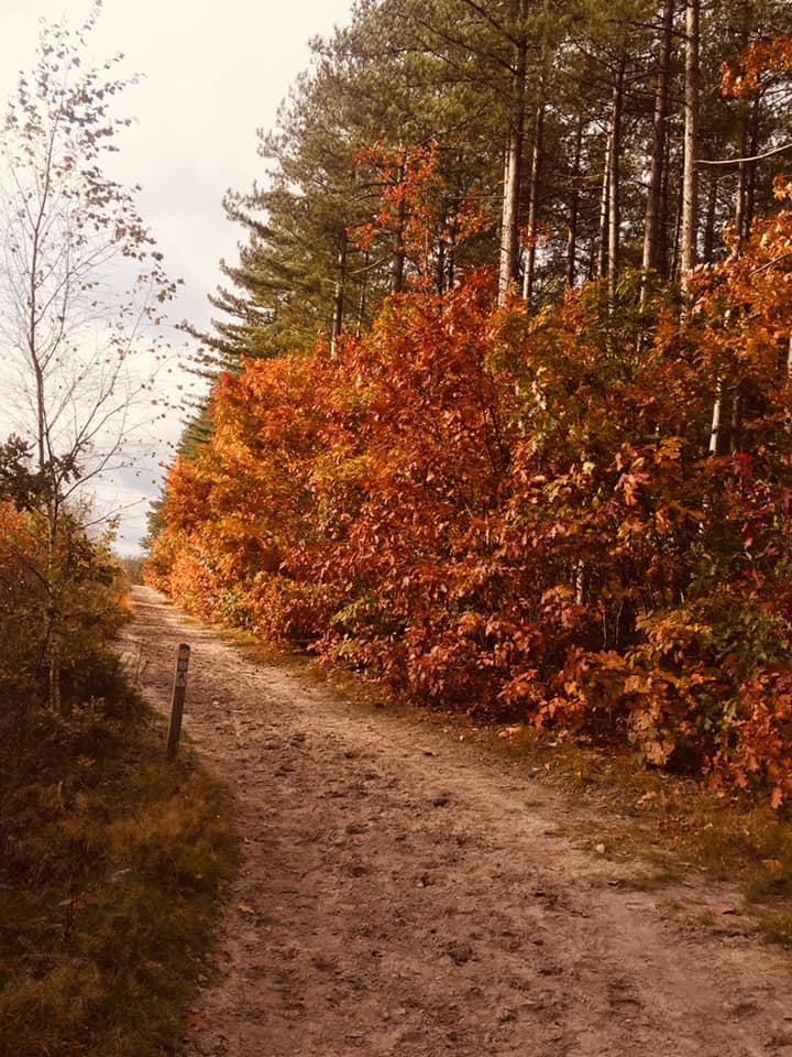 - image: 28