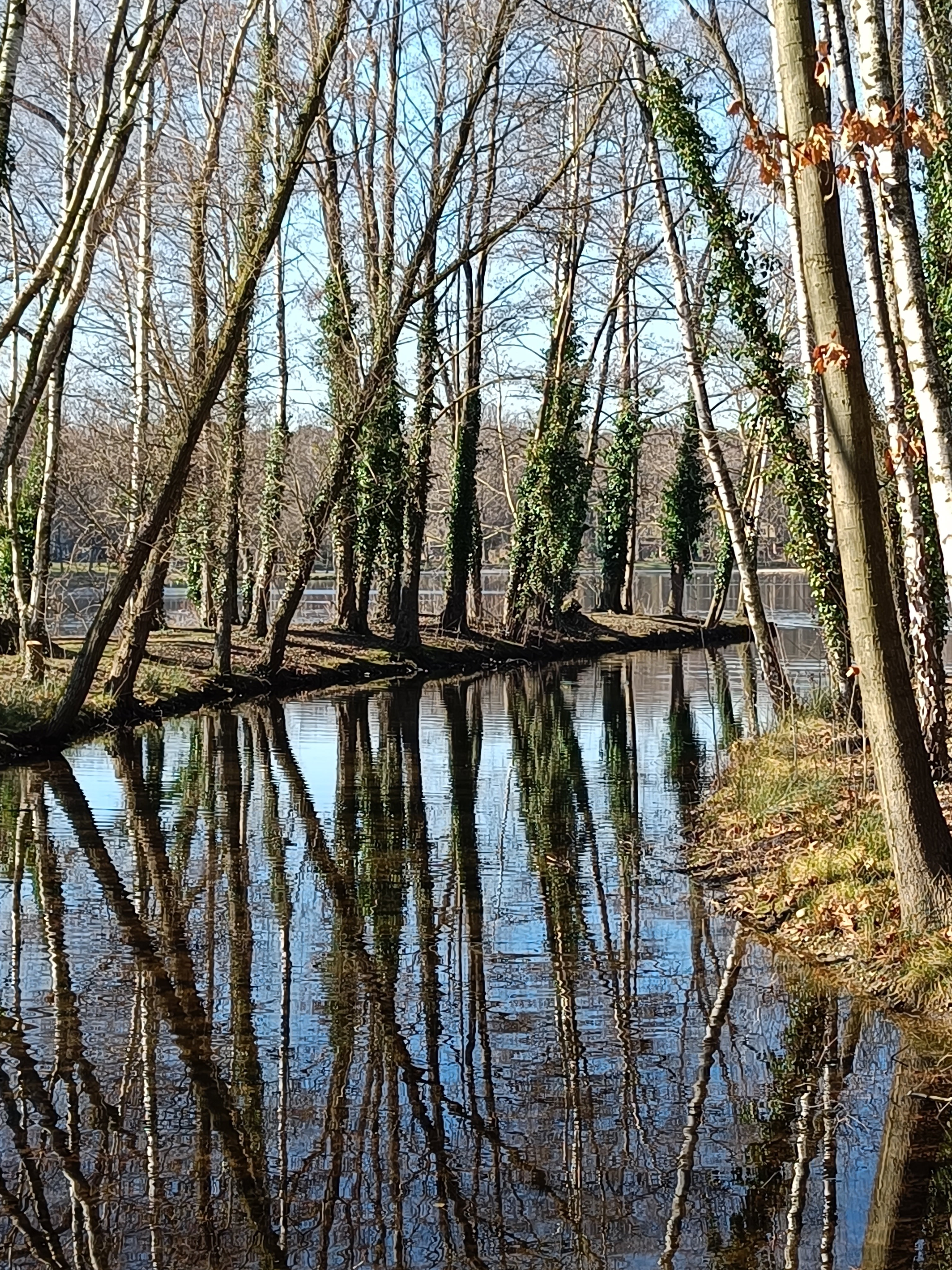 Naturhäuschen in Rekem