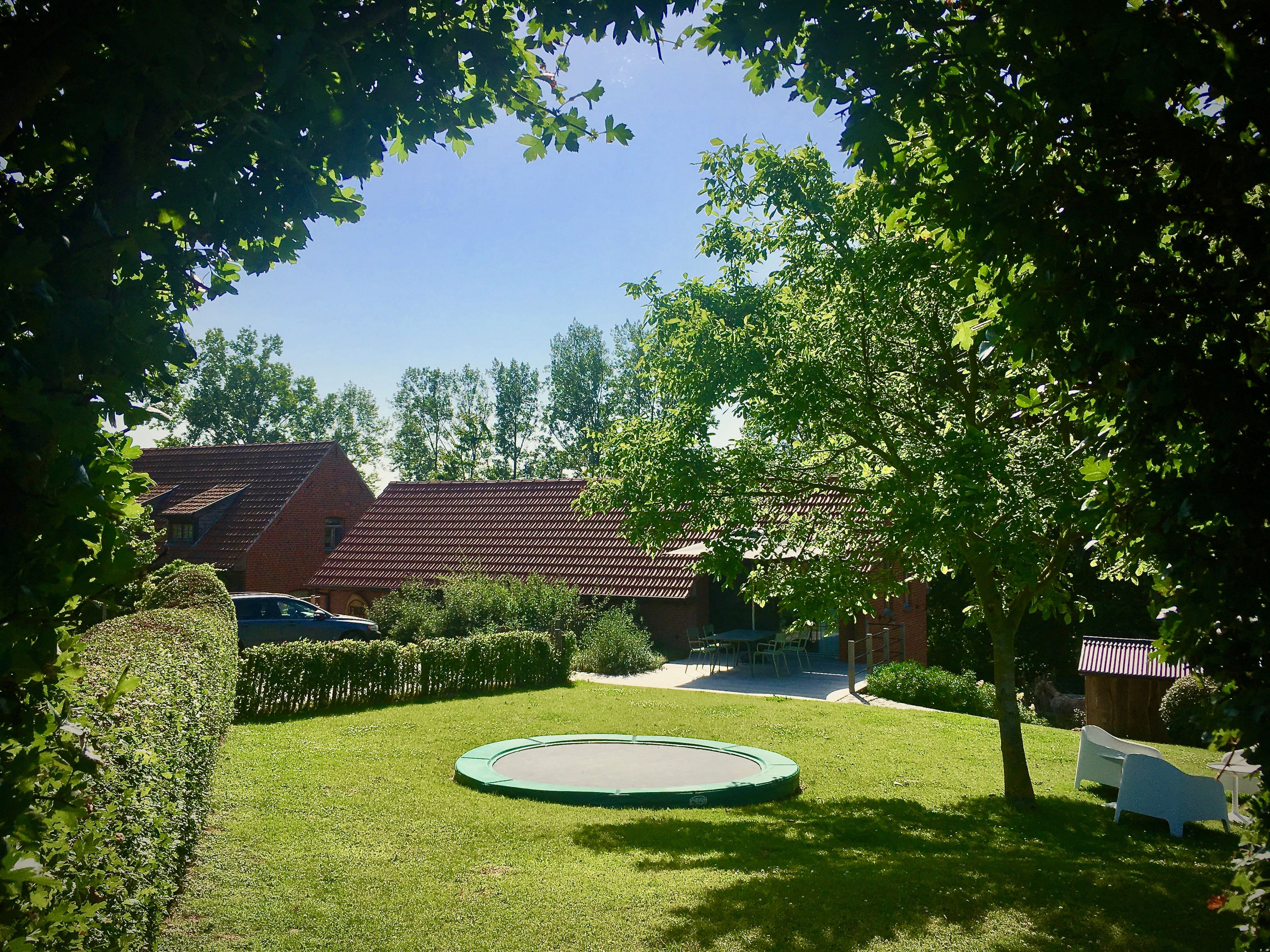 - image: 14