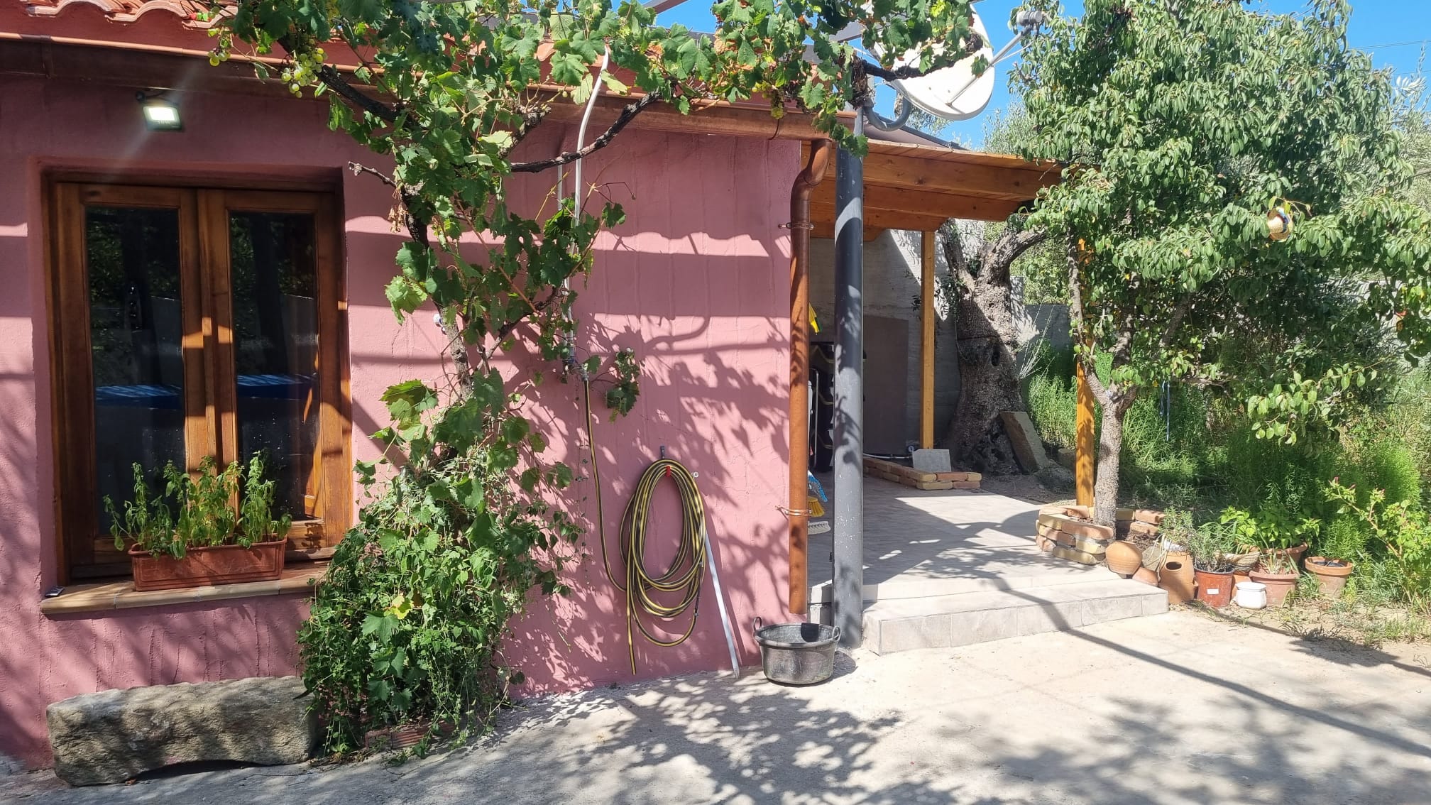 - image: 29