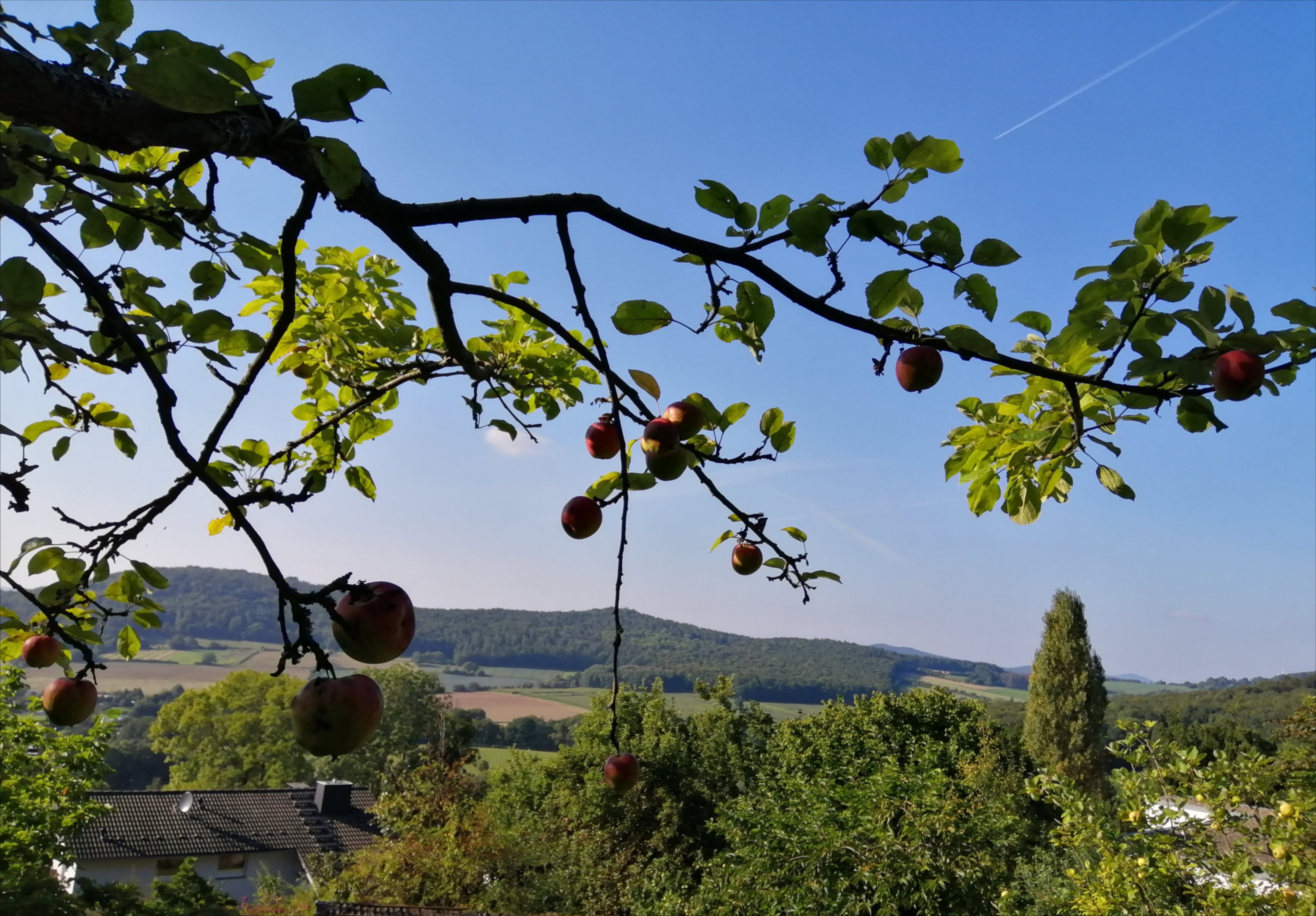 Casa nella natura a Niedenstein