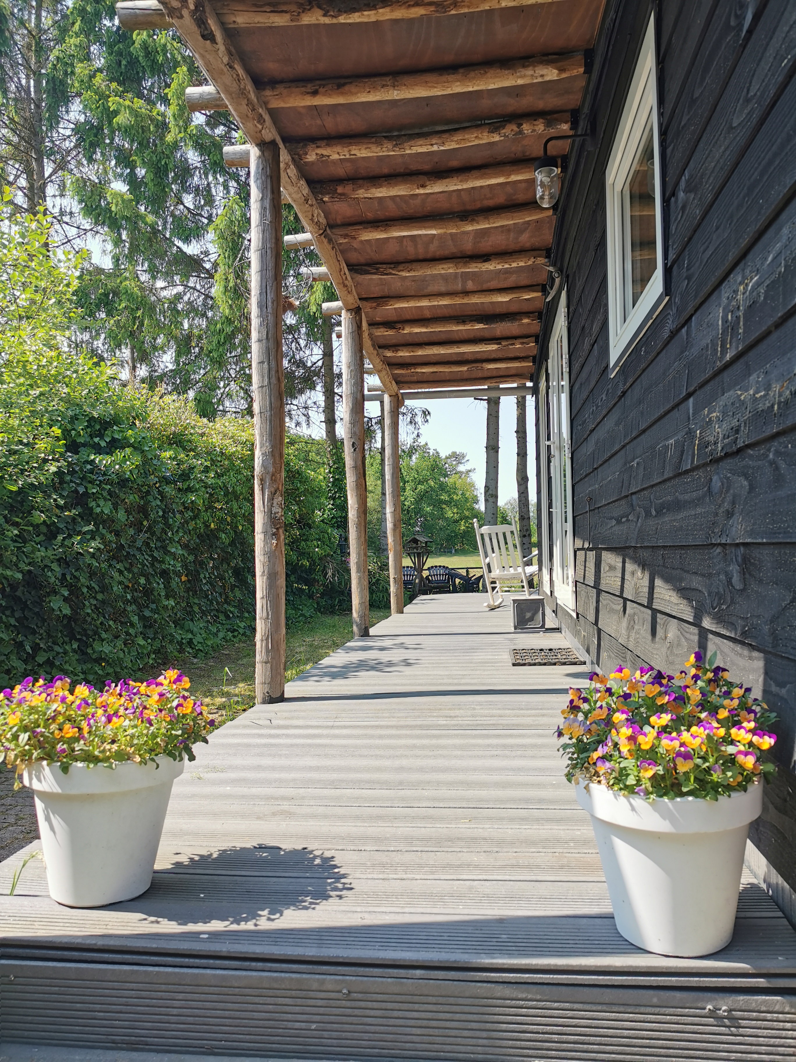 - image: 16