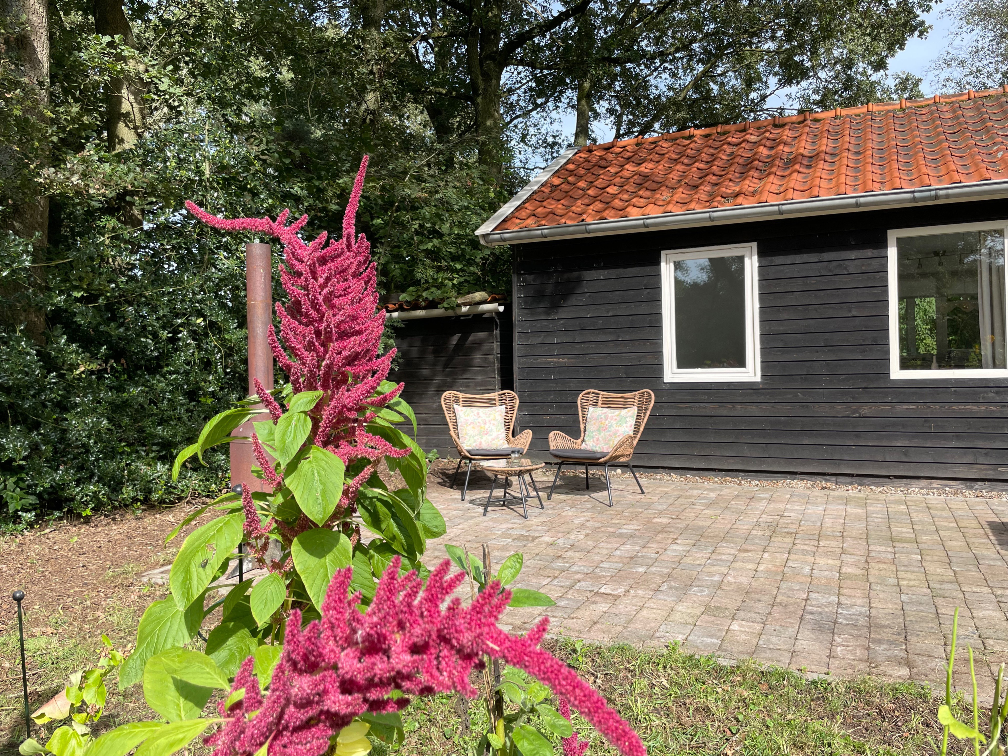 Naturhäuschen in Lemele