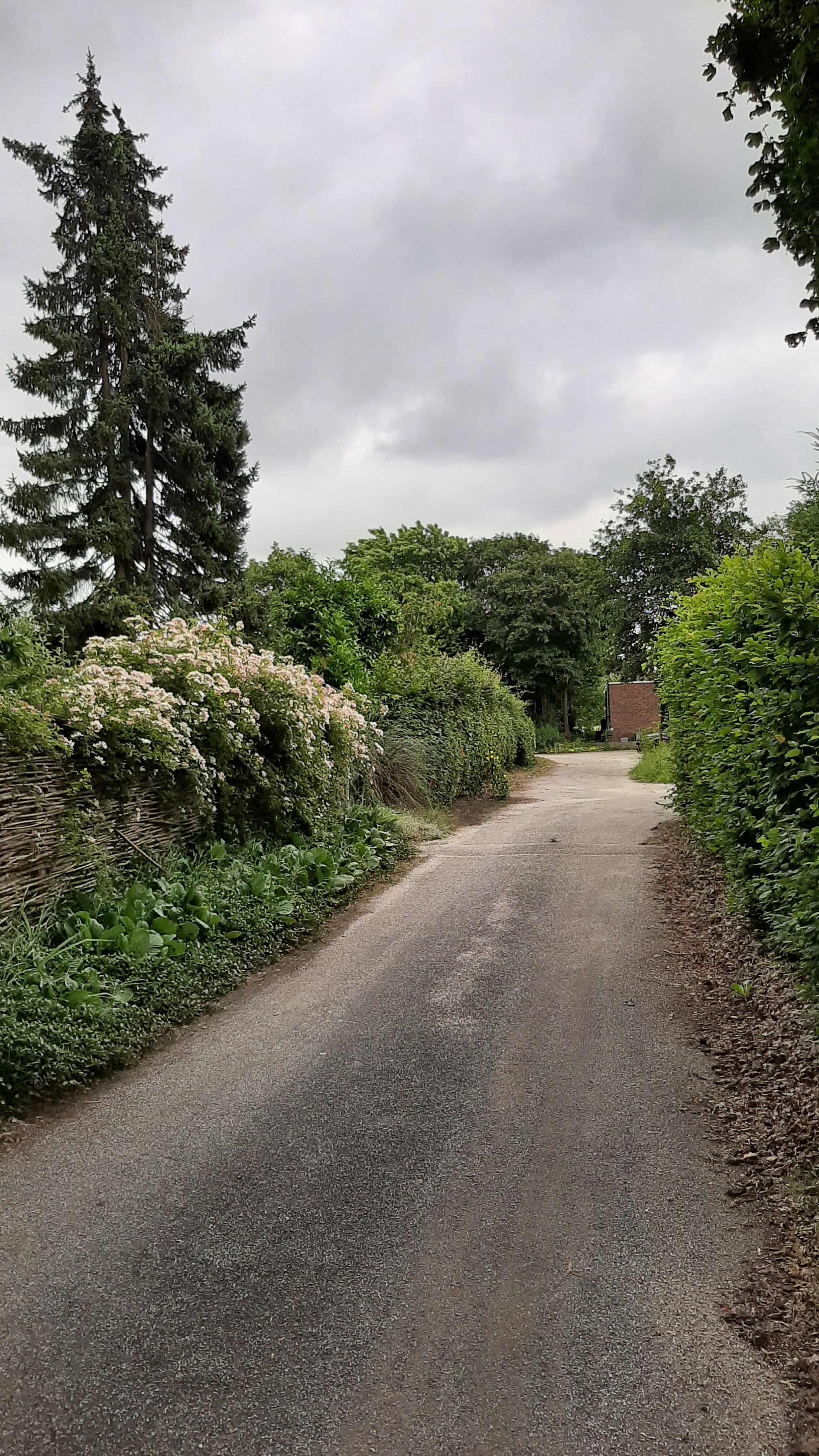 Maison nature à Werkendam