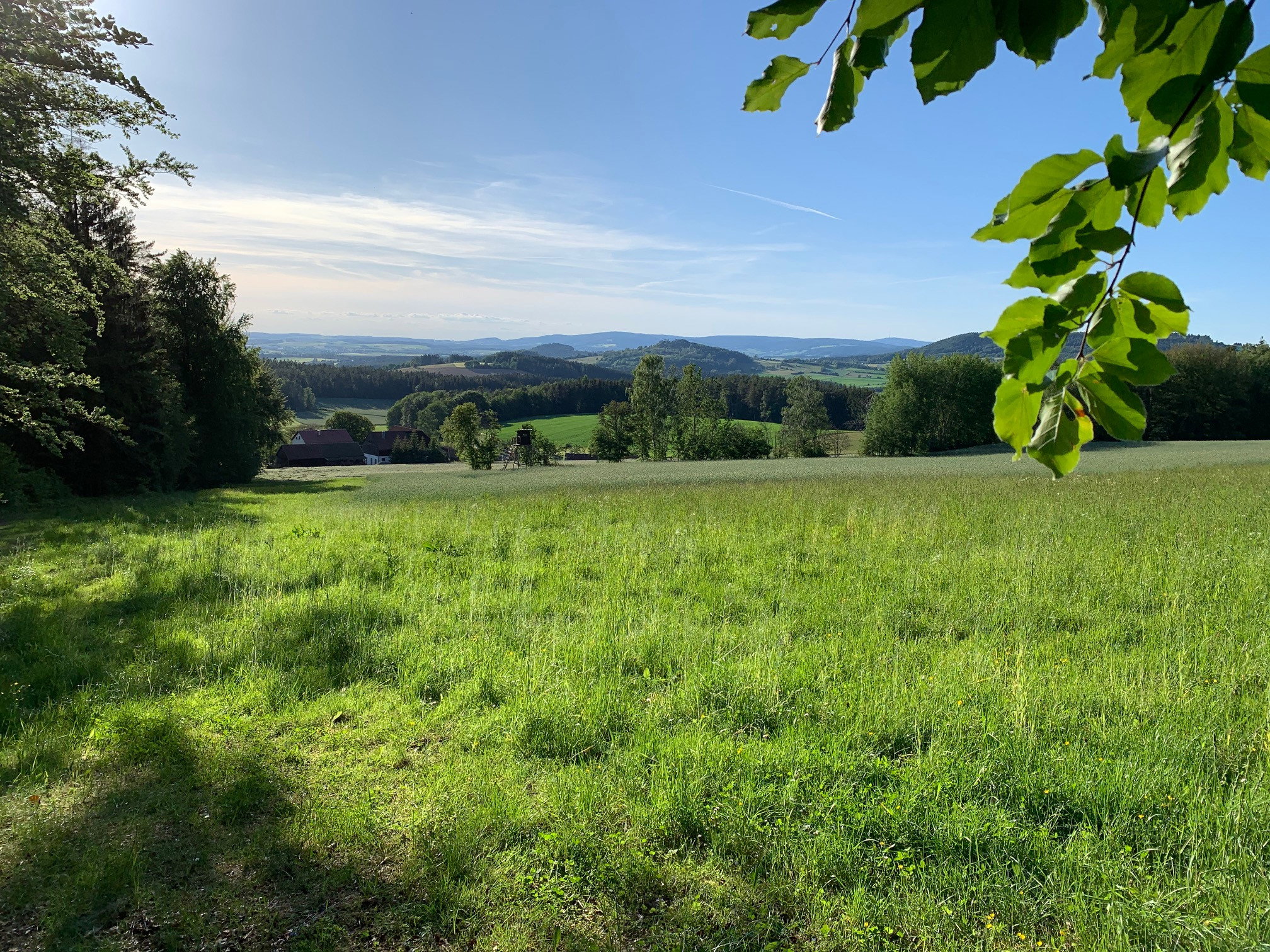 - image: 12