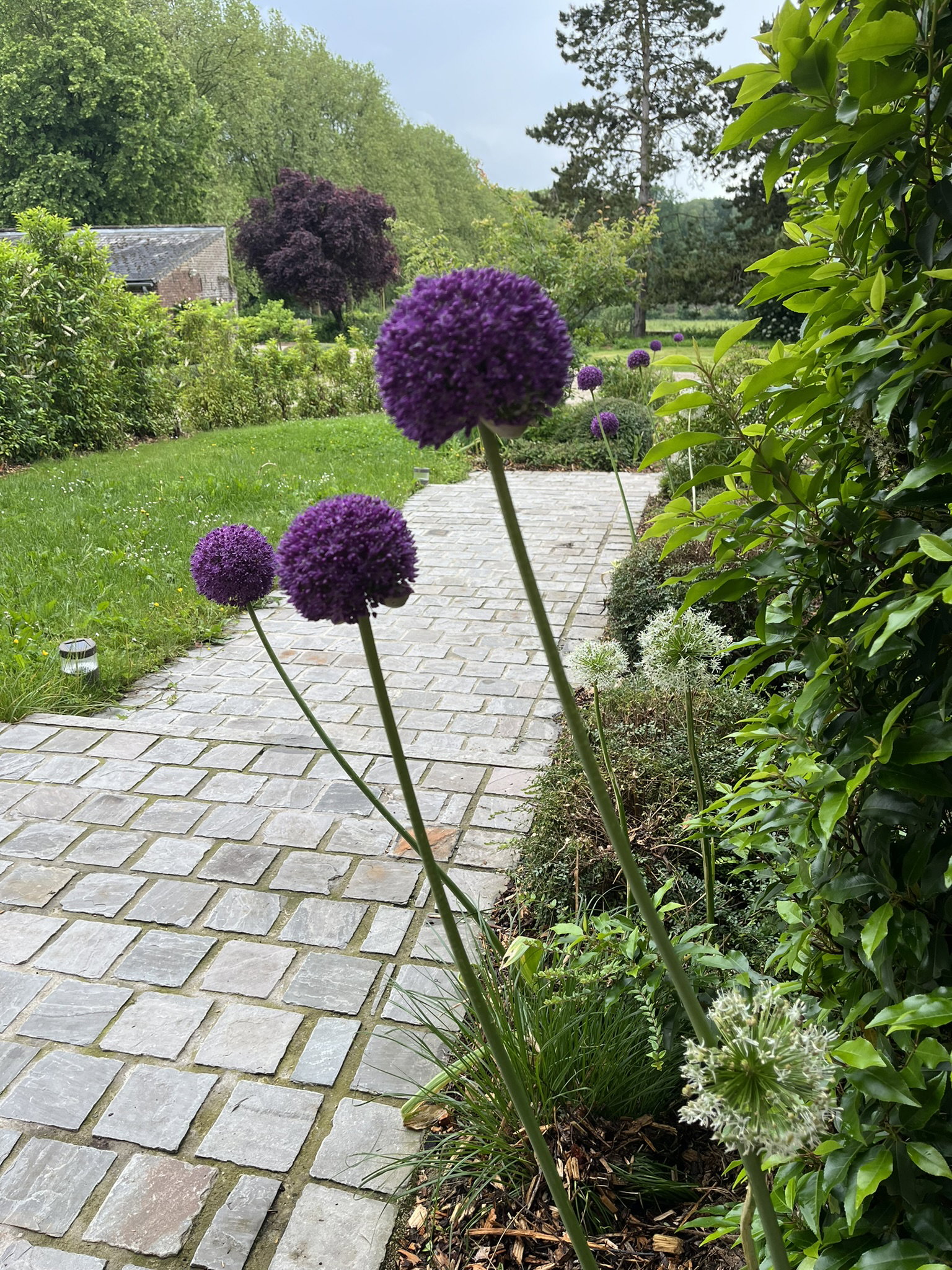 - image: 49