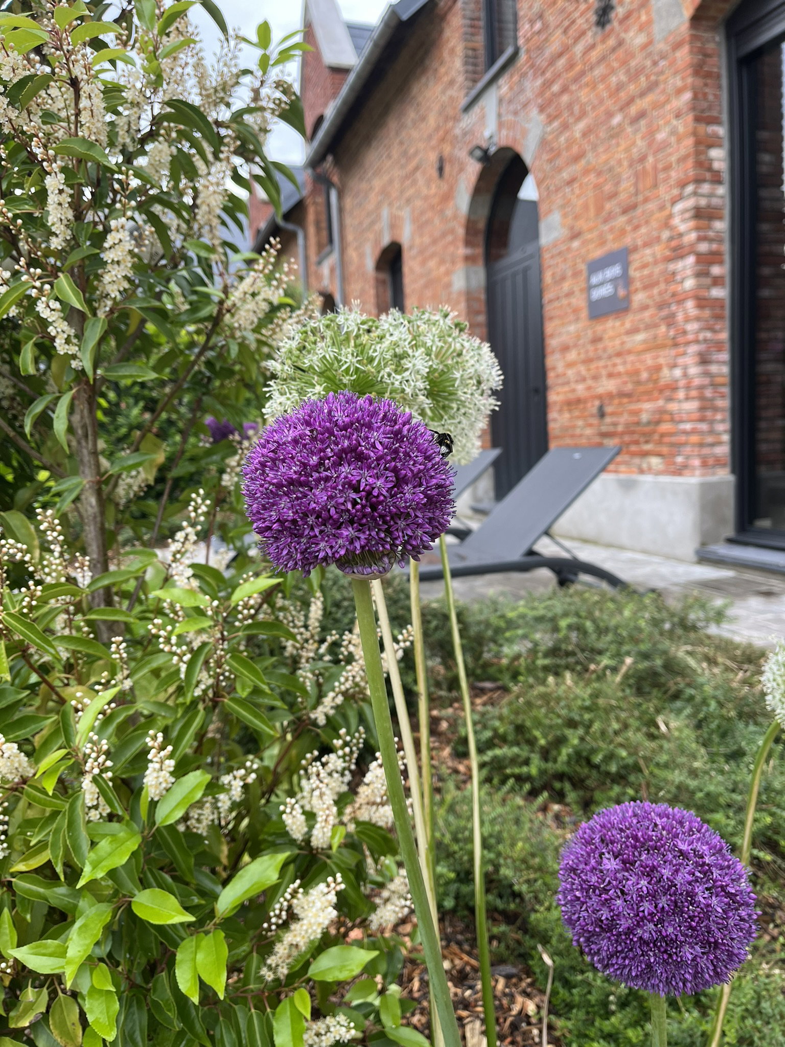 Natuurhuisje in Walincourt