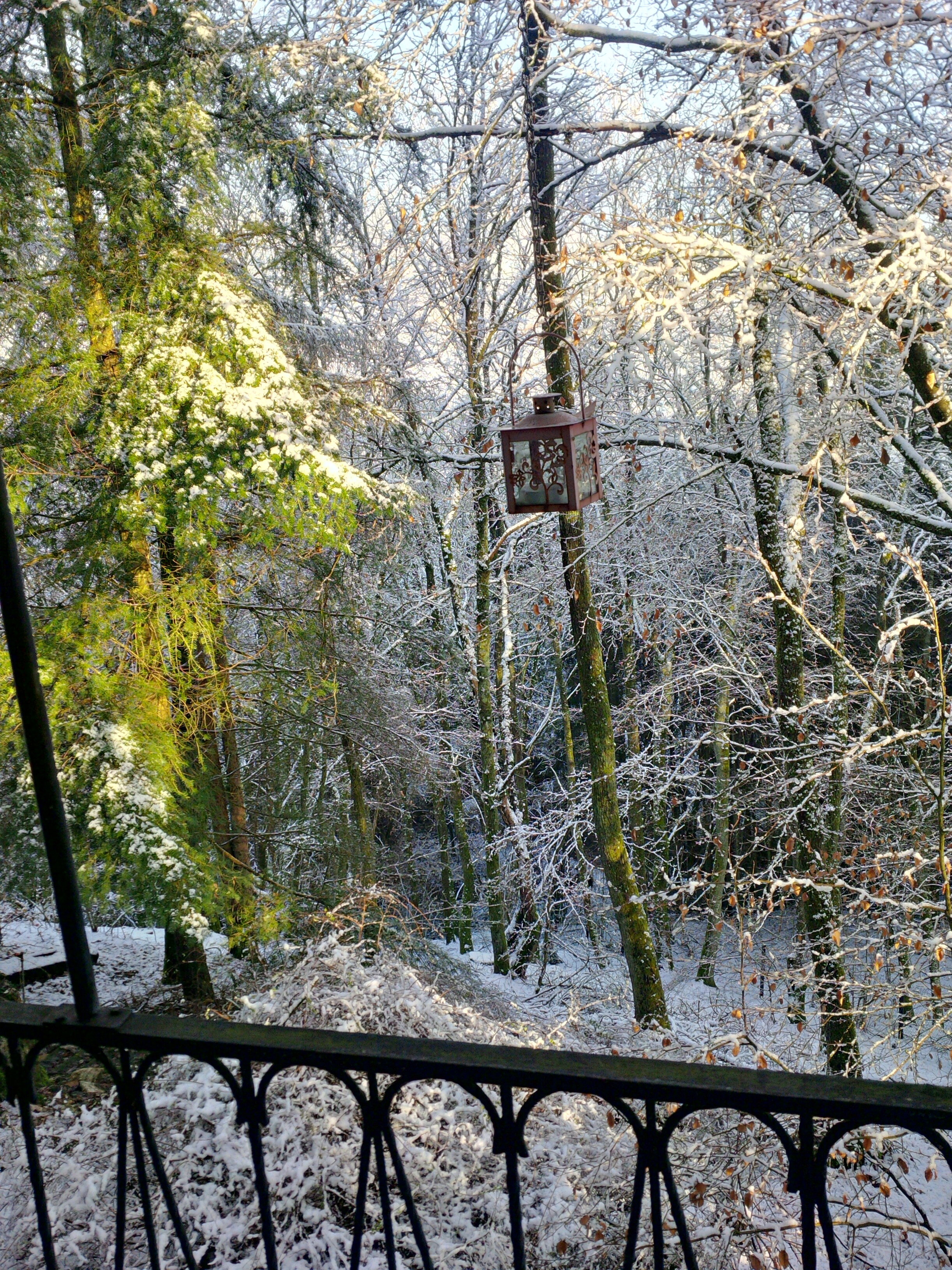 Natuurhuisje in Herl