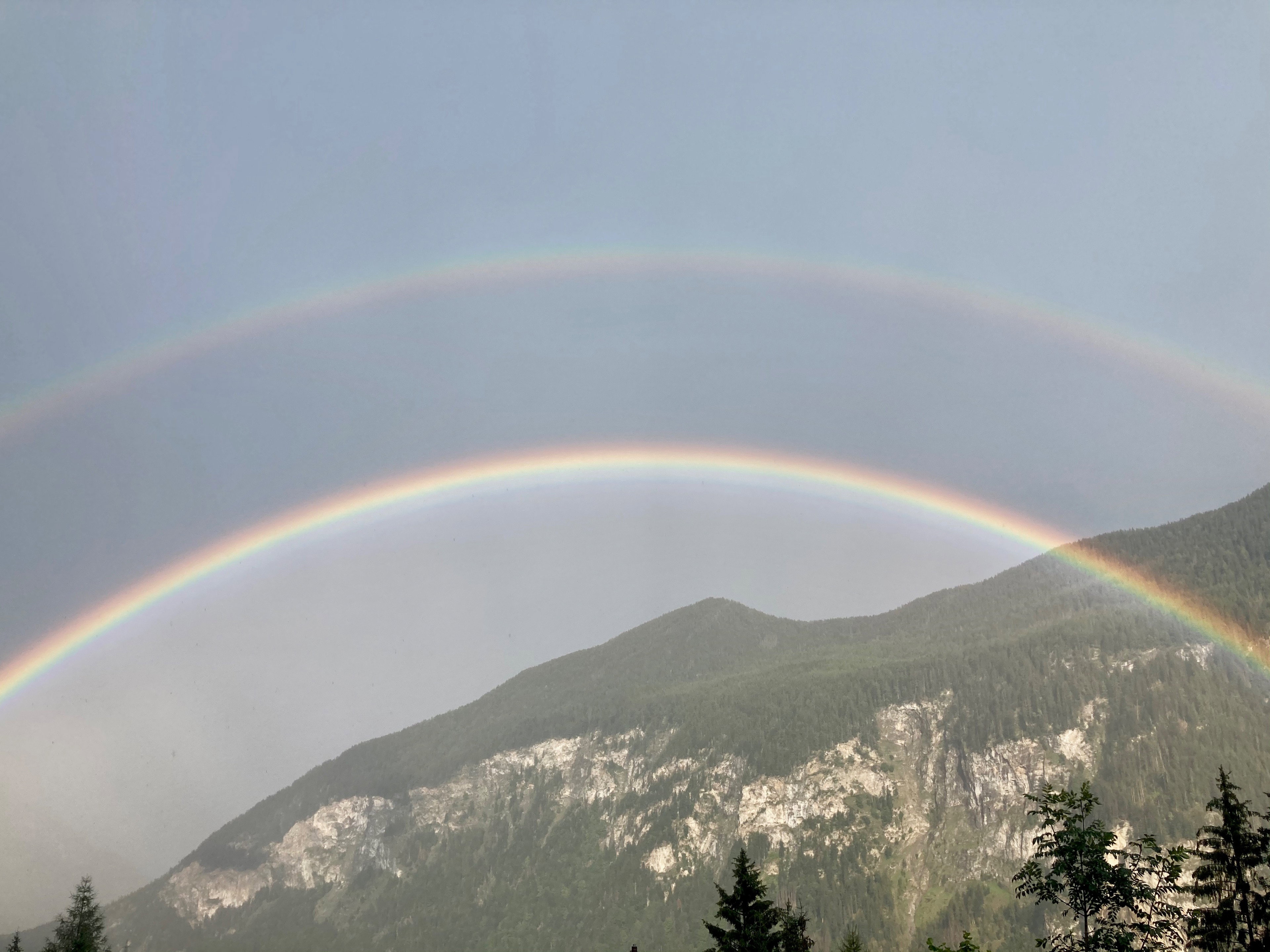 - image: 29