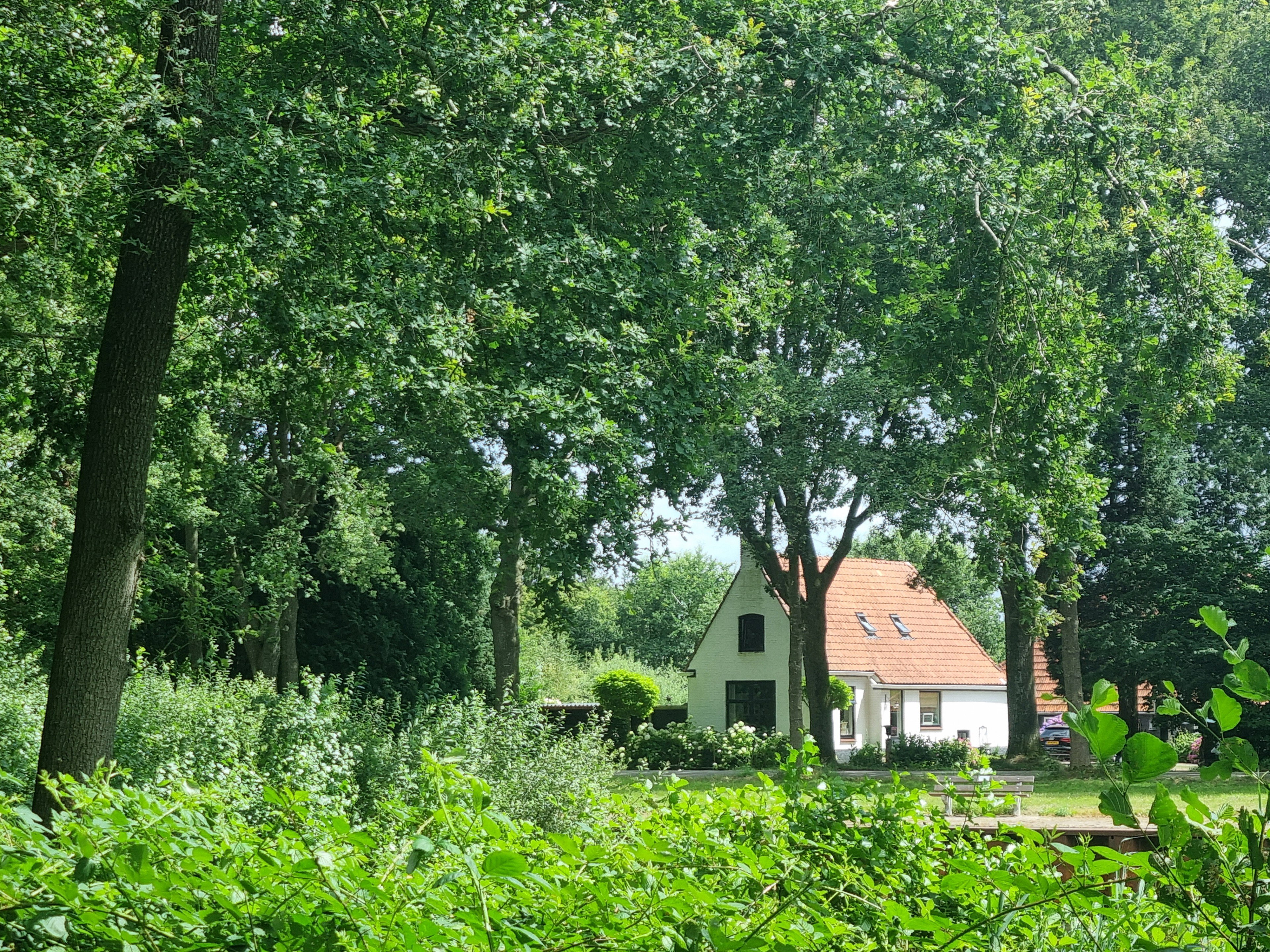 - image: 21