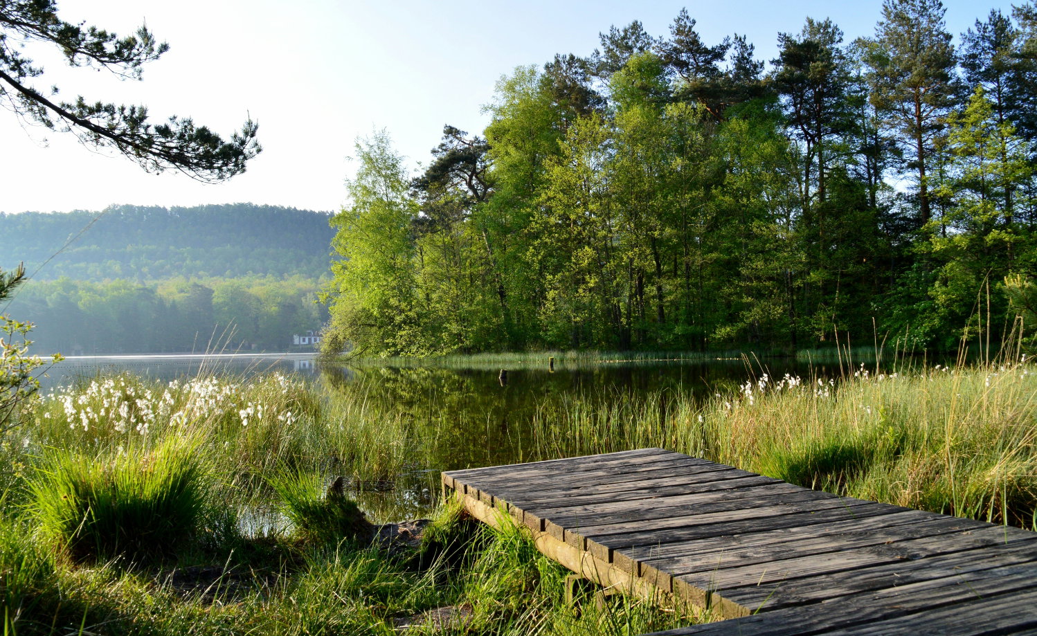- image: 26