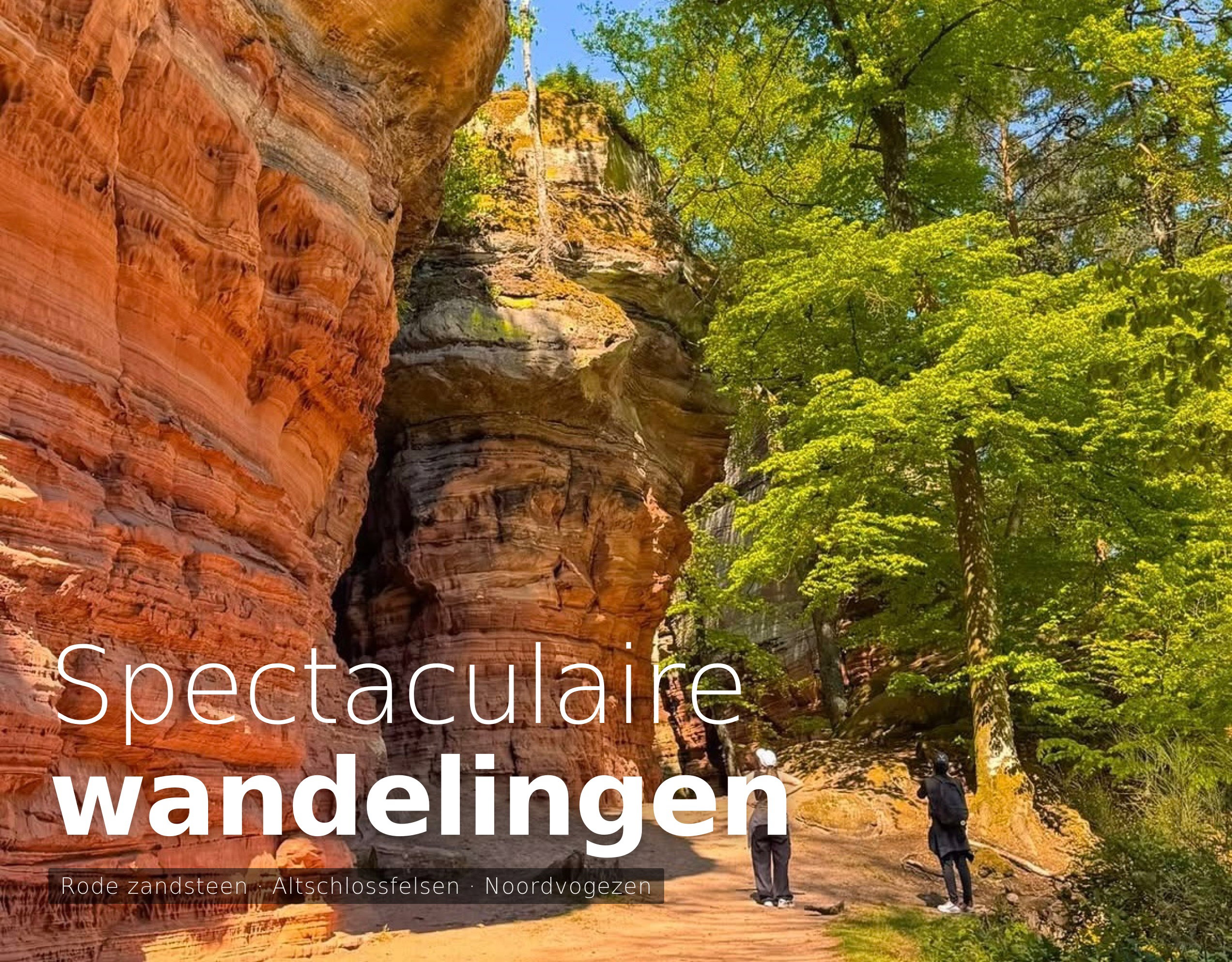 Casa nella natura a STURZELBRONN