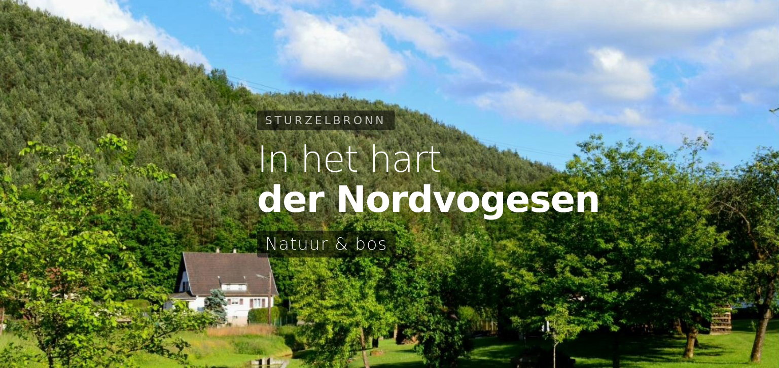 Casa nella natura a STURZELBRONN