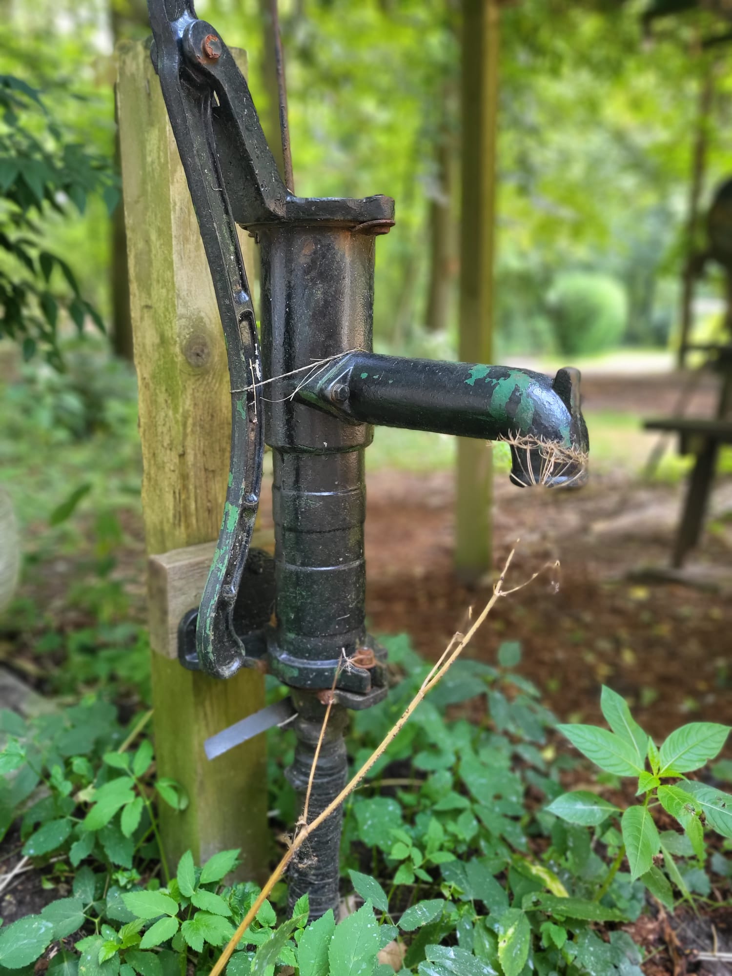 Naturhäuschen in Markelo