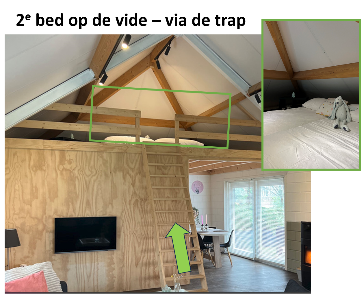 - image: 12